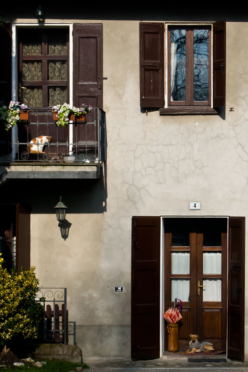 The guardians of the house