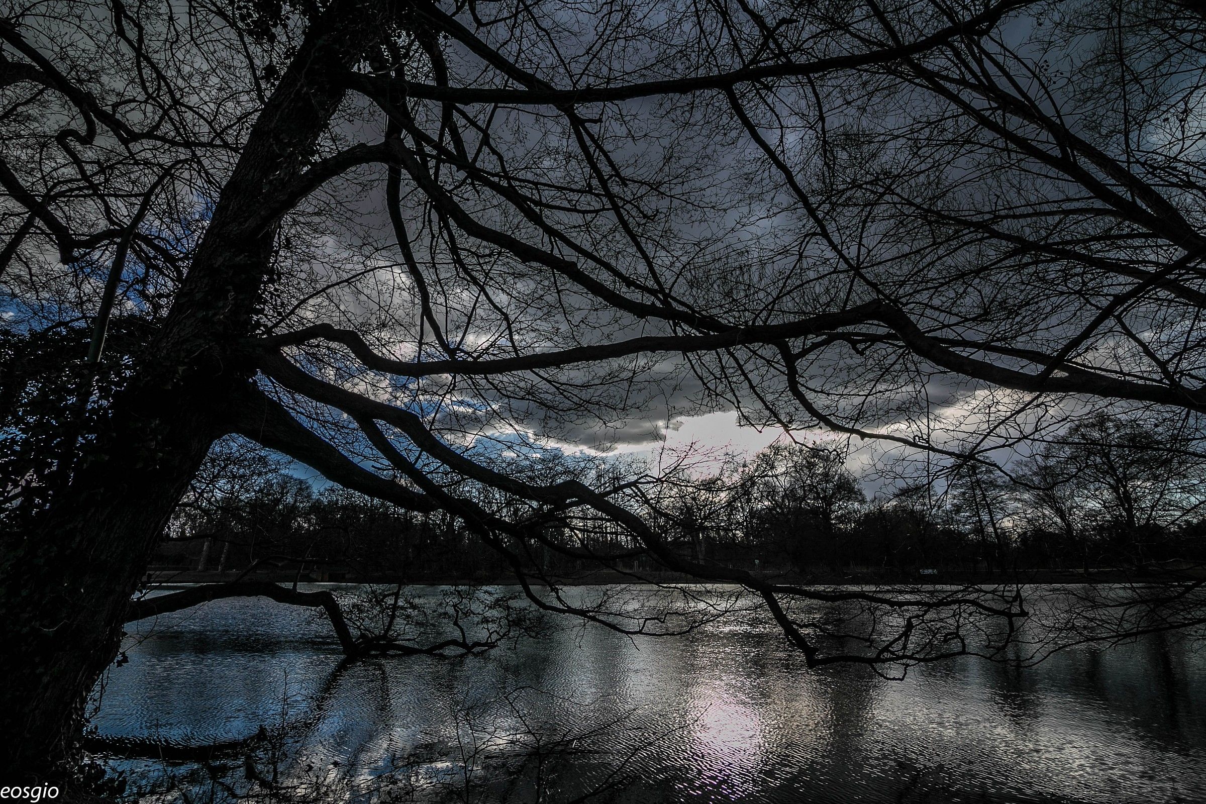 Park Residence Reale_3