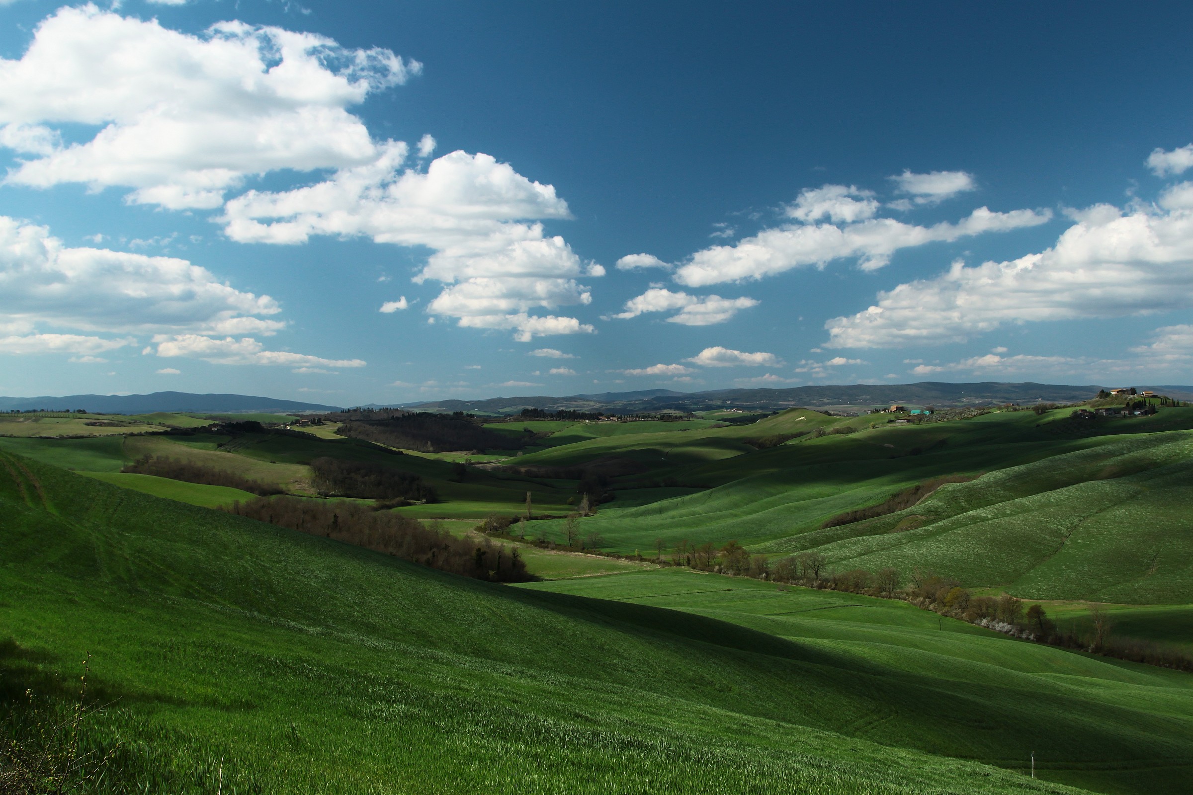 Armonia fra Verde e Celeste