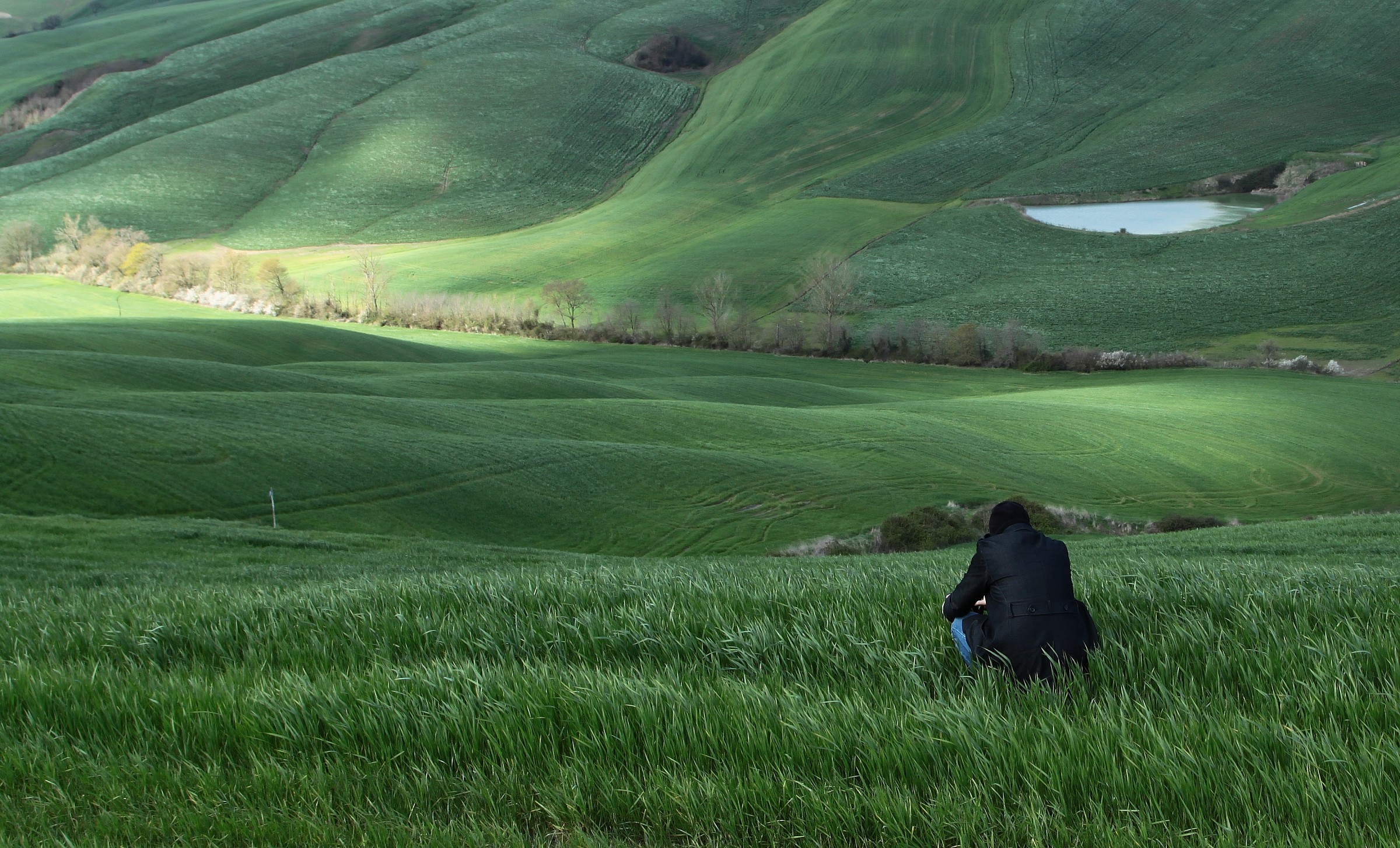 In posizione per trovare la migliore composizione