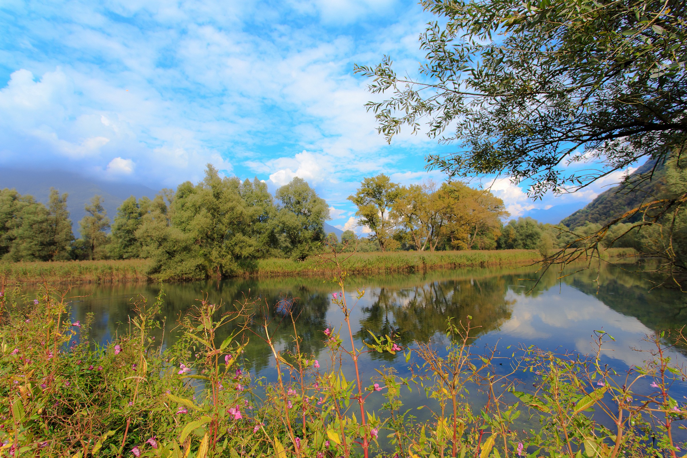 Le Bolle di Magadino