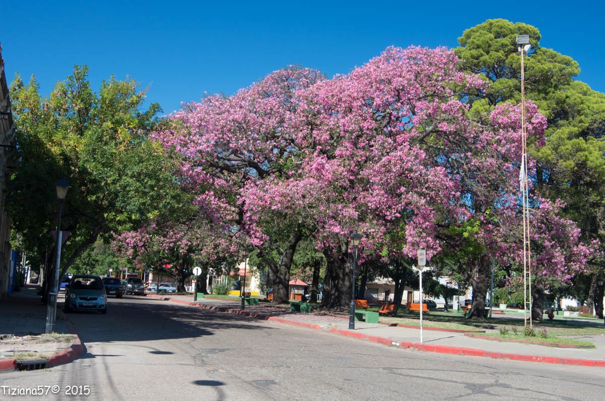 Plaza General Artigas