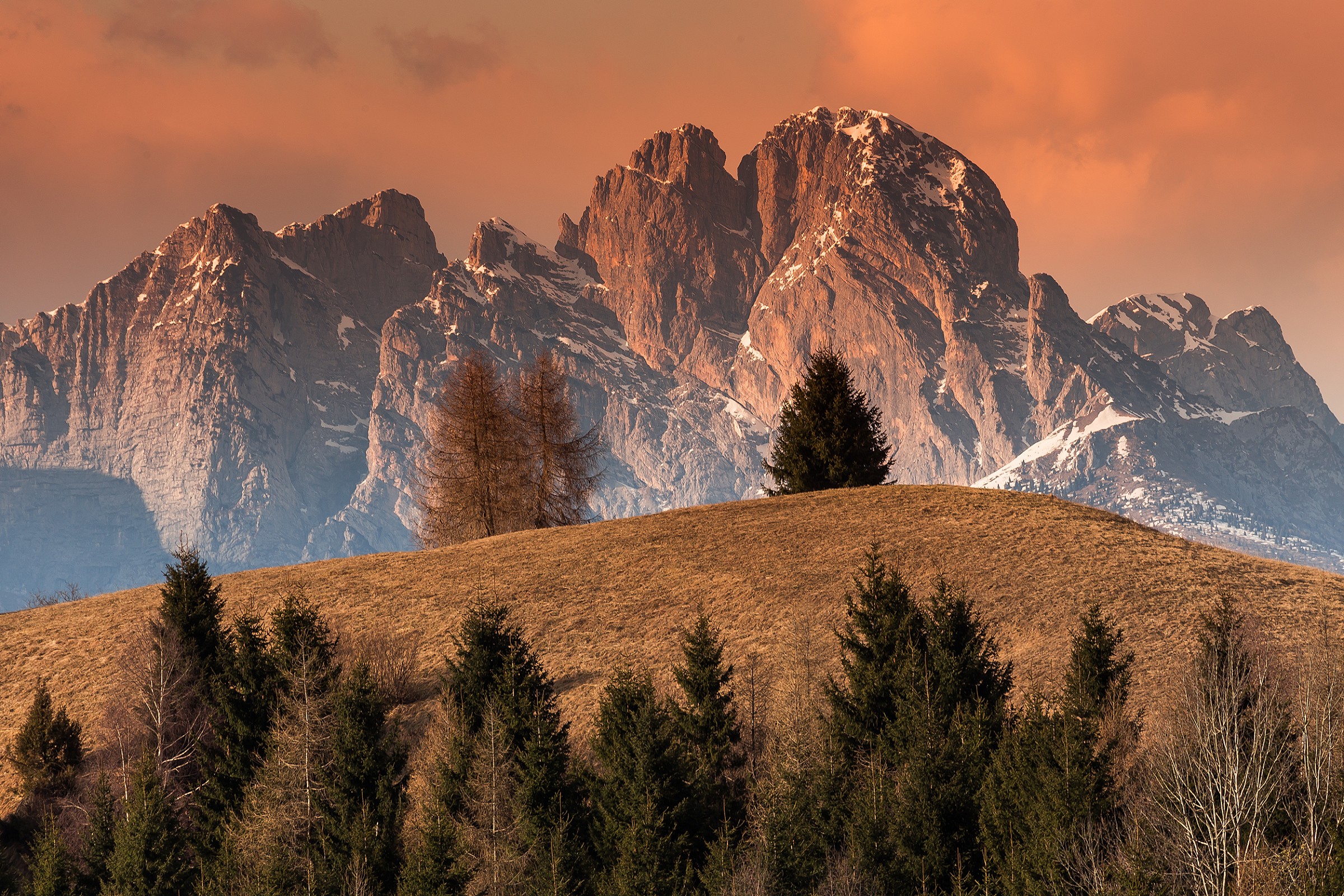 Gli abeti, i larici ed il Pizzocco
