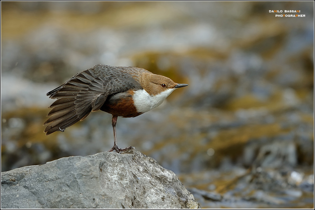 stretching mattutino....