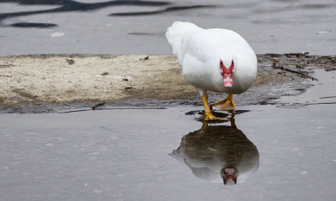come sono bella- bello? :)