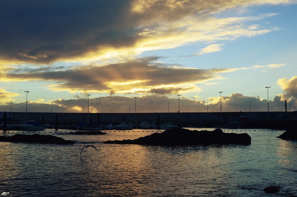 Flying into the sunset