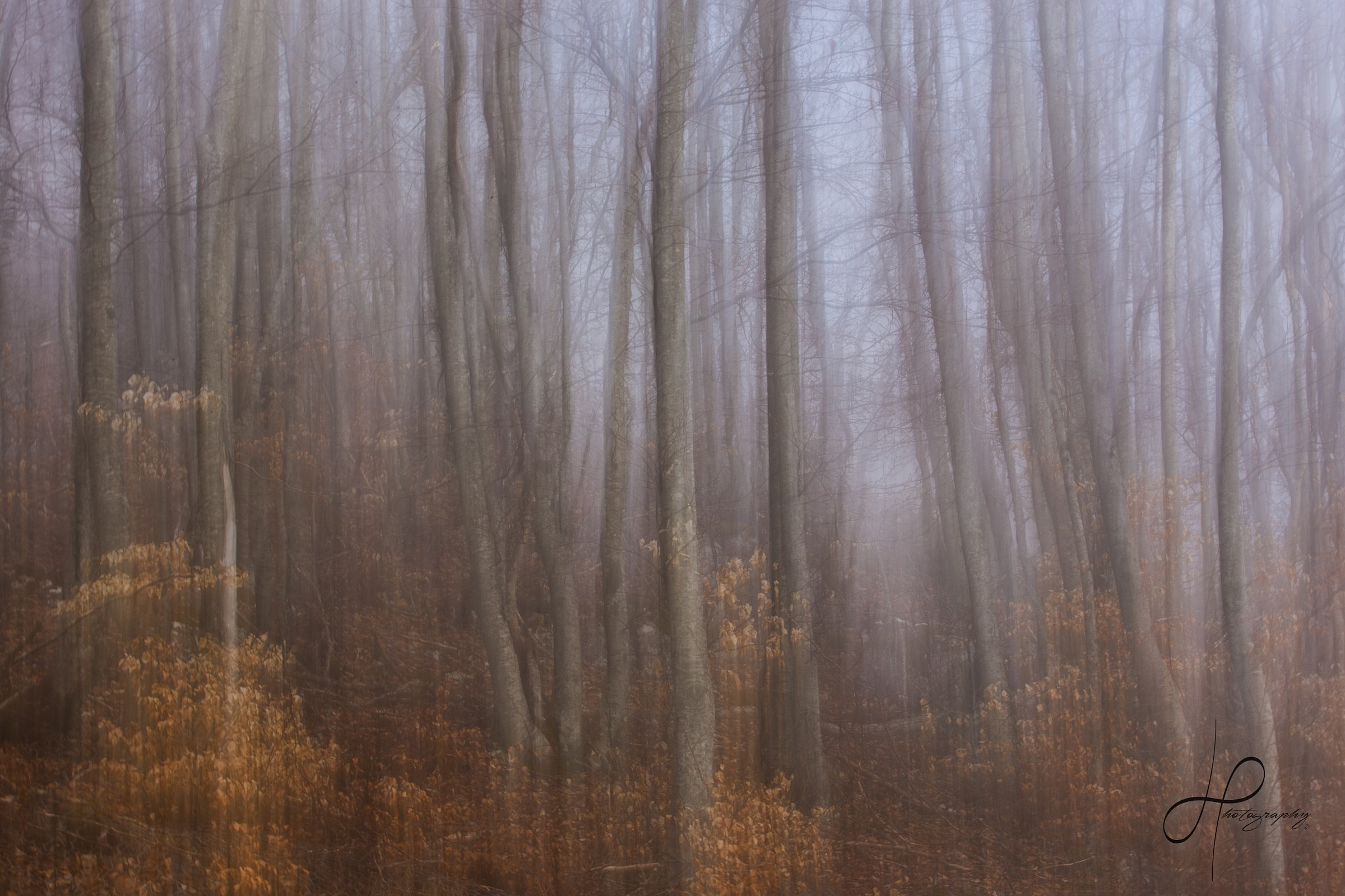 Confused in the fog II