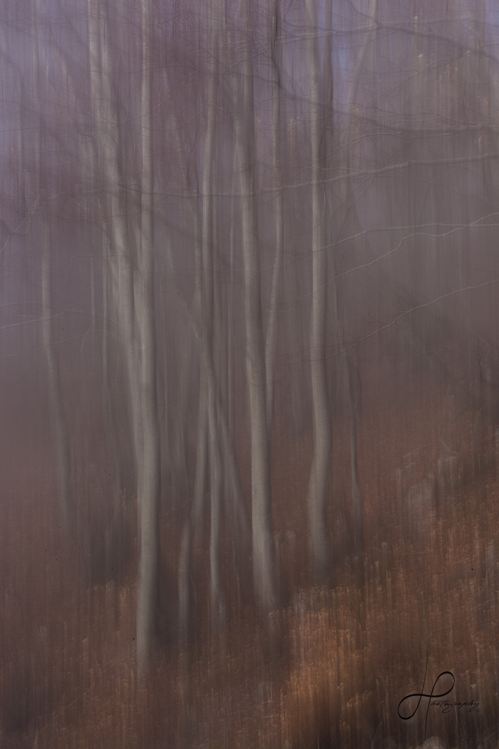 Confused in the fog III