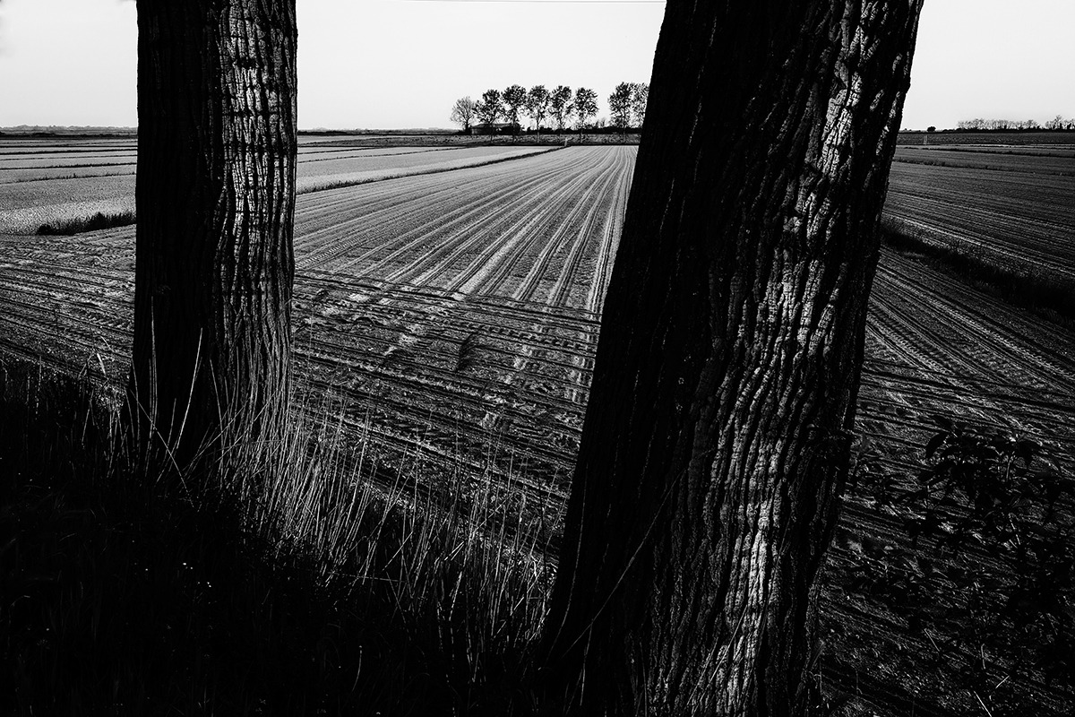 Venetian countryside