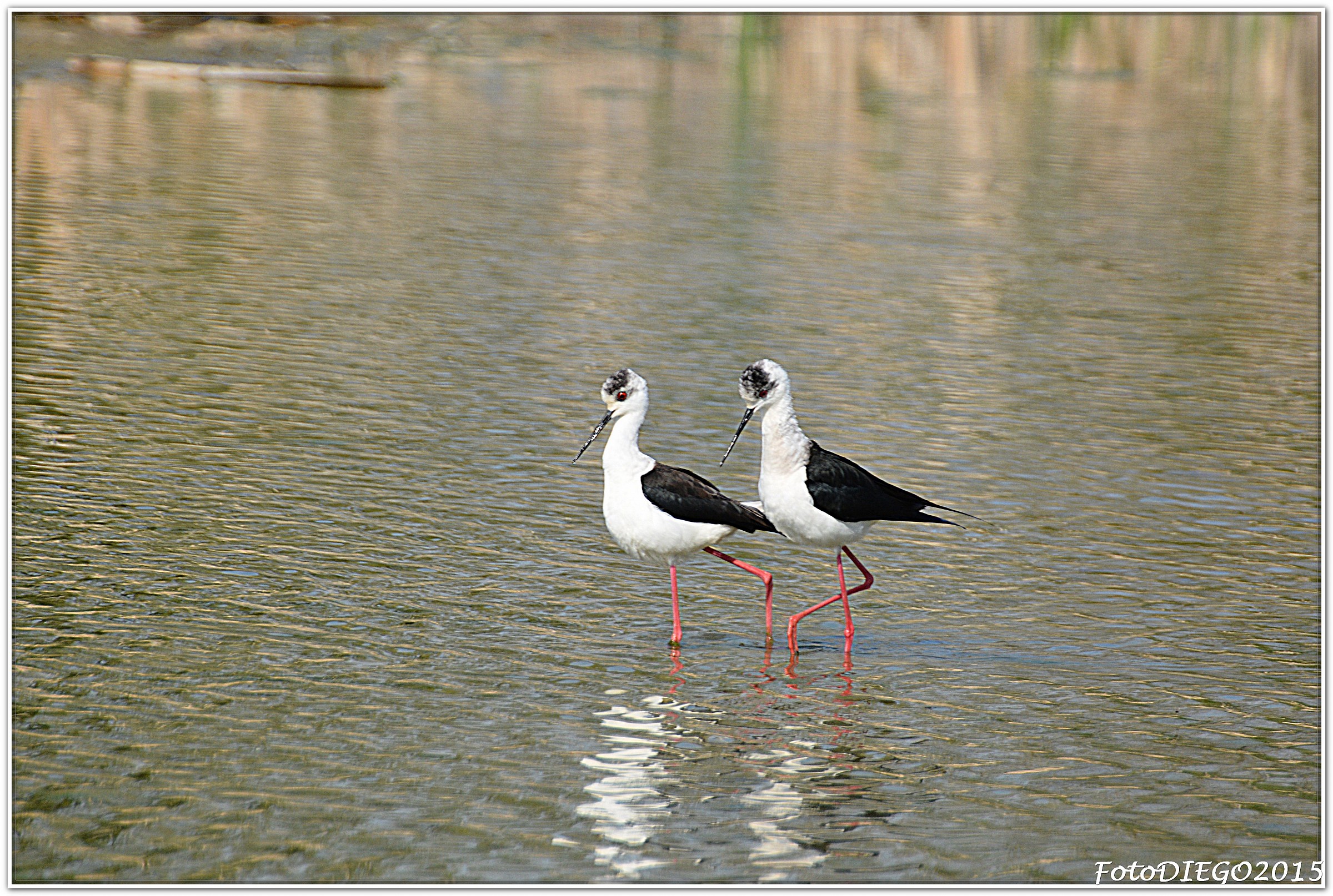 You know the last they told me?