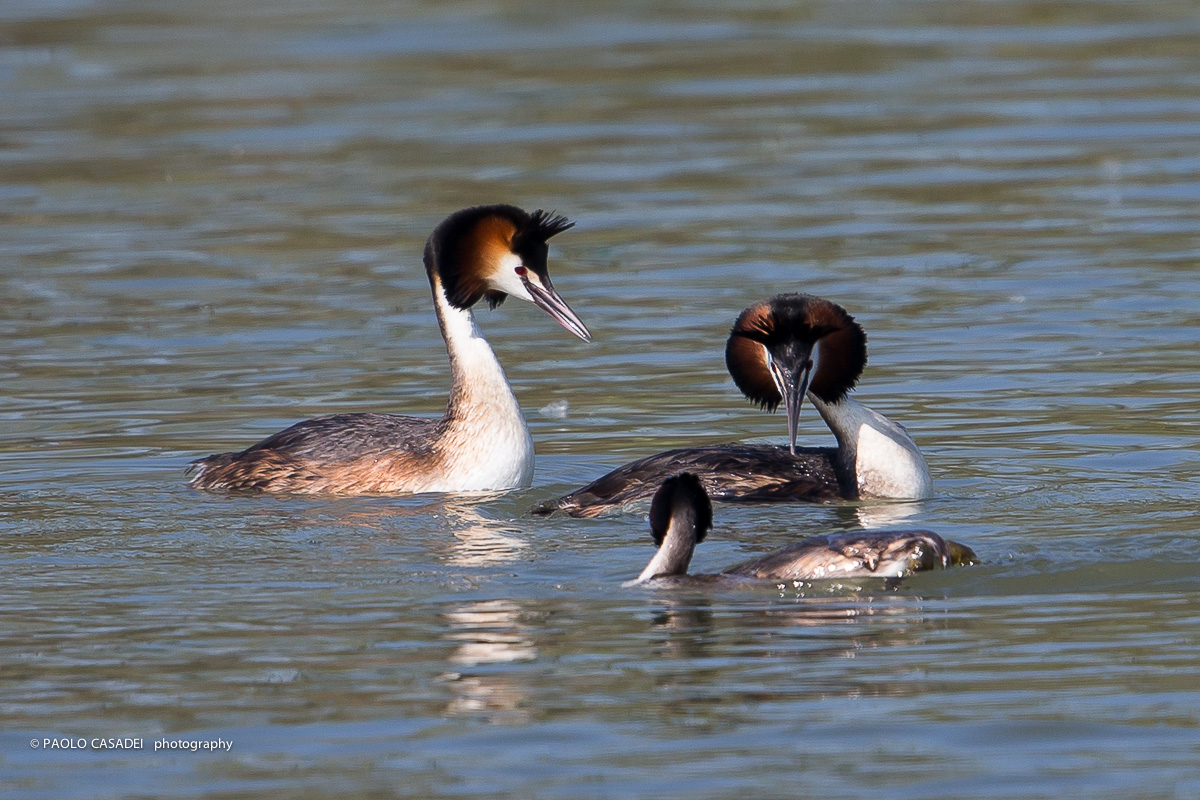 Il rompiballe che arriva alle spalle