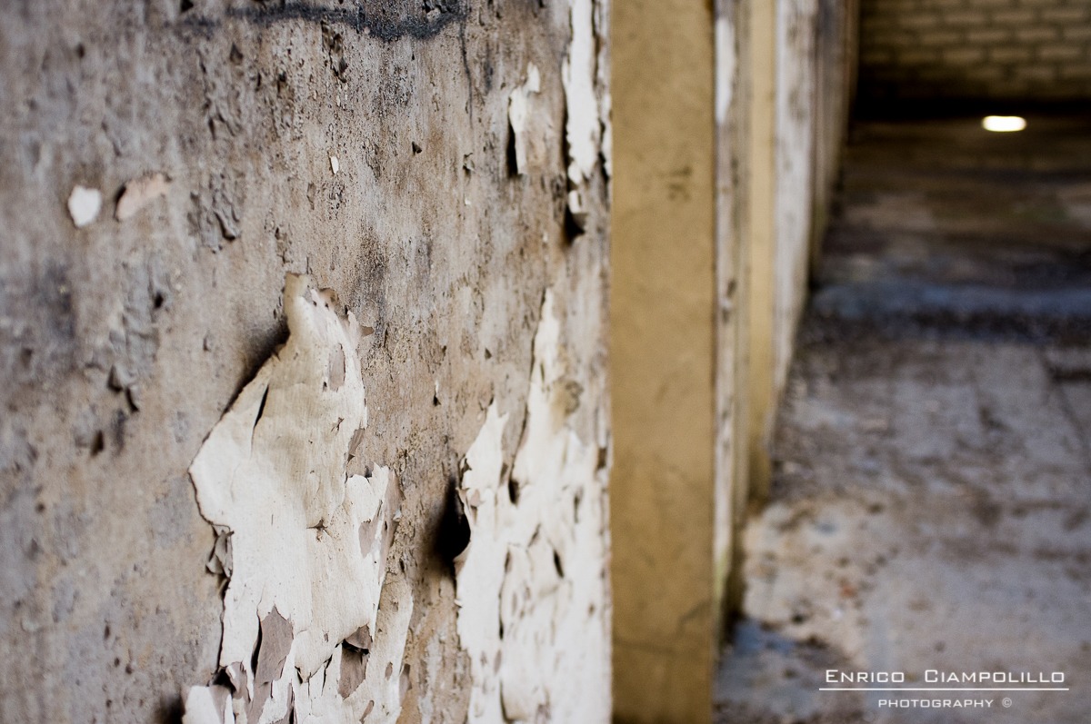 Ex Ceat Settimo Torinese 8