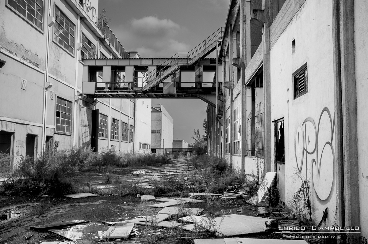 Ex Ceat Settimo Torinese 16