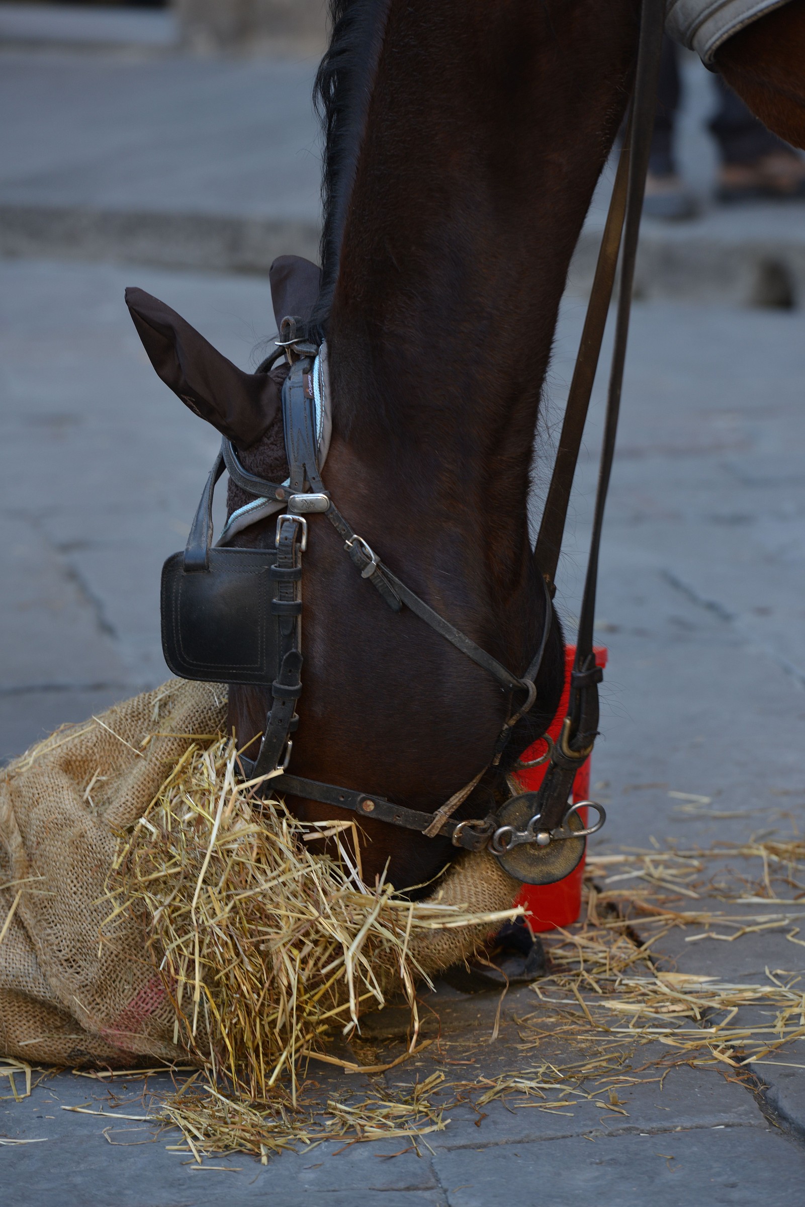 devo prendere quella in fondo