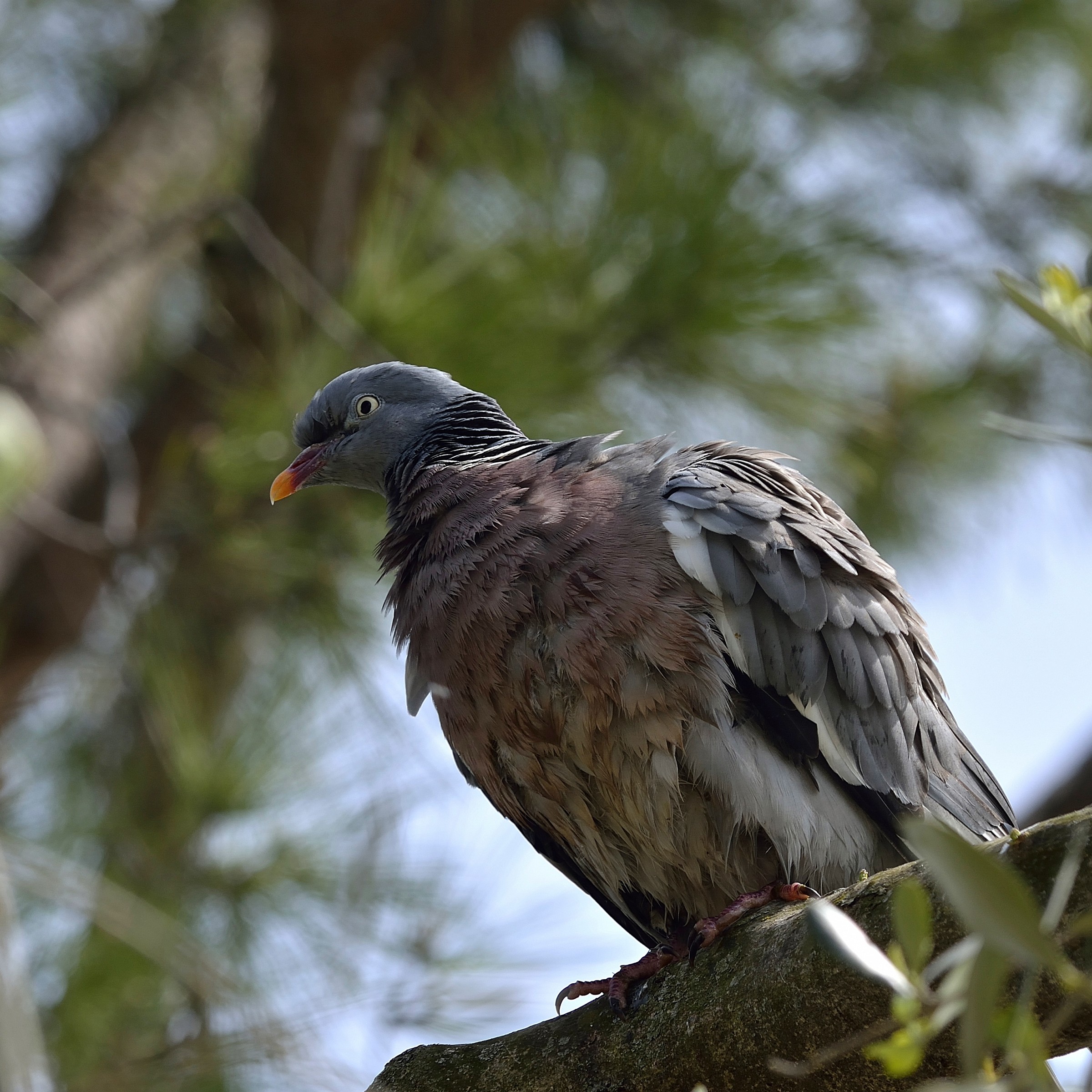 They are all in a mess !!!!