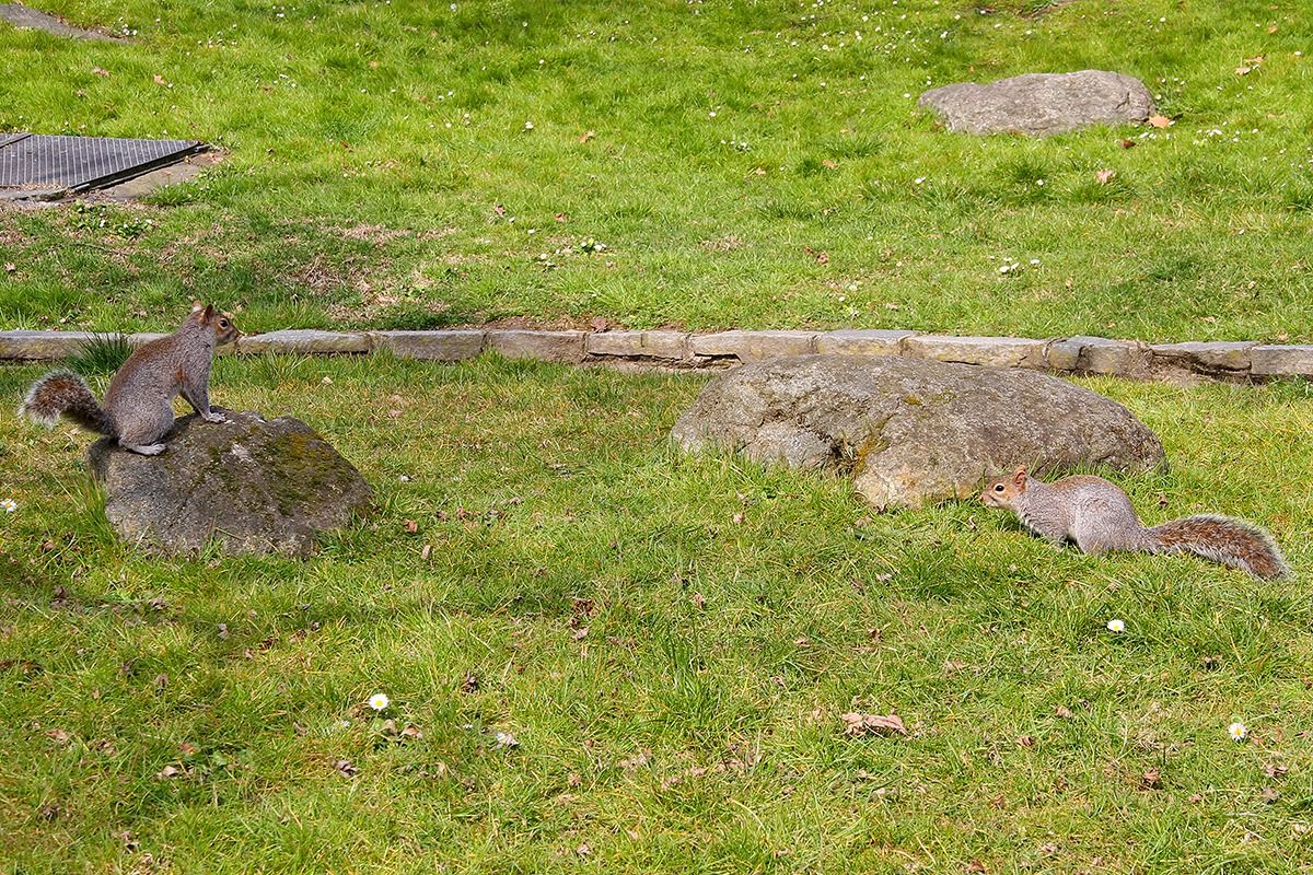 I crouch here so that tomboy does not see me !!!