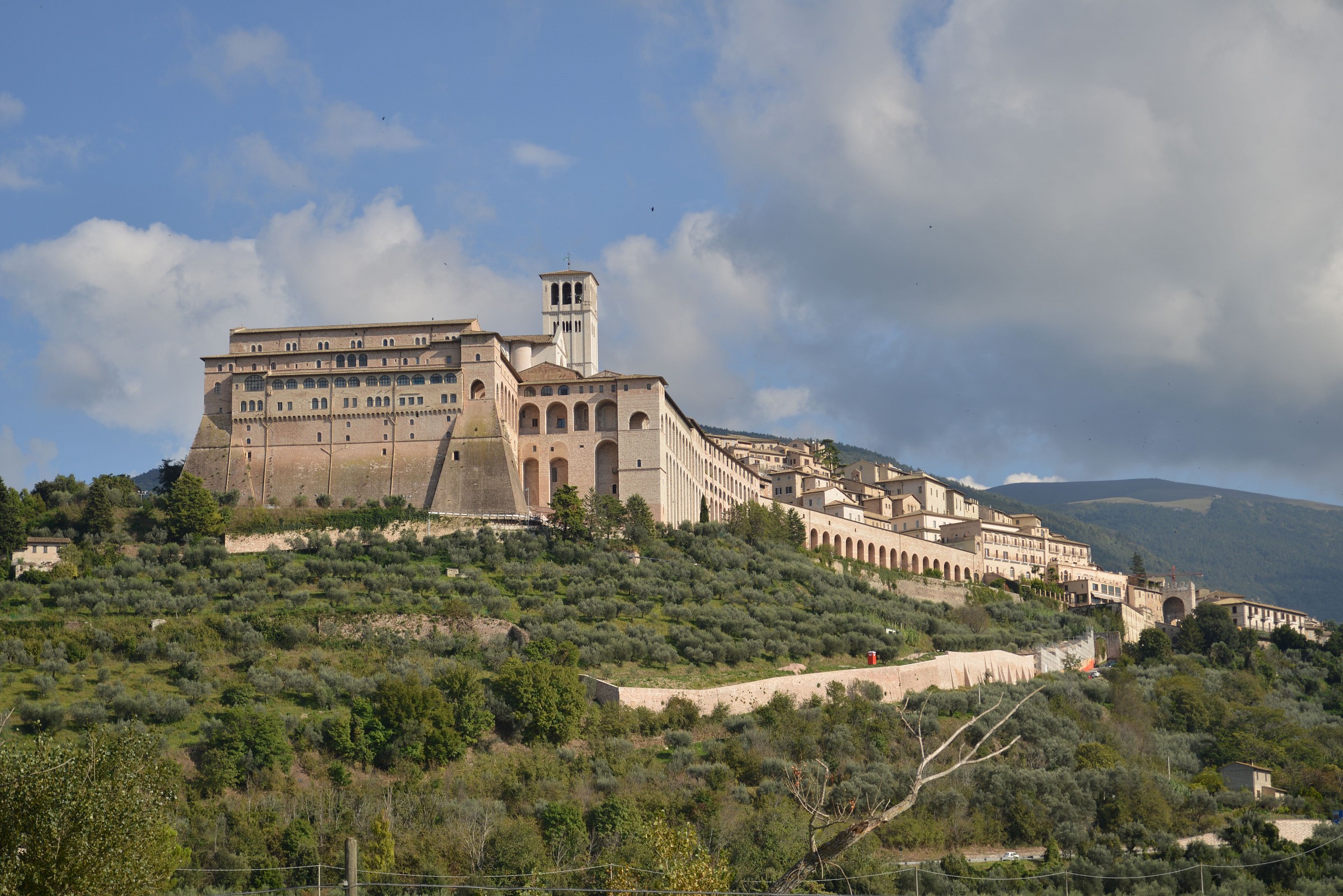 assisi
