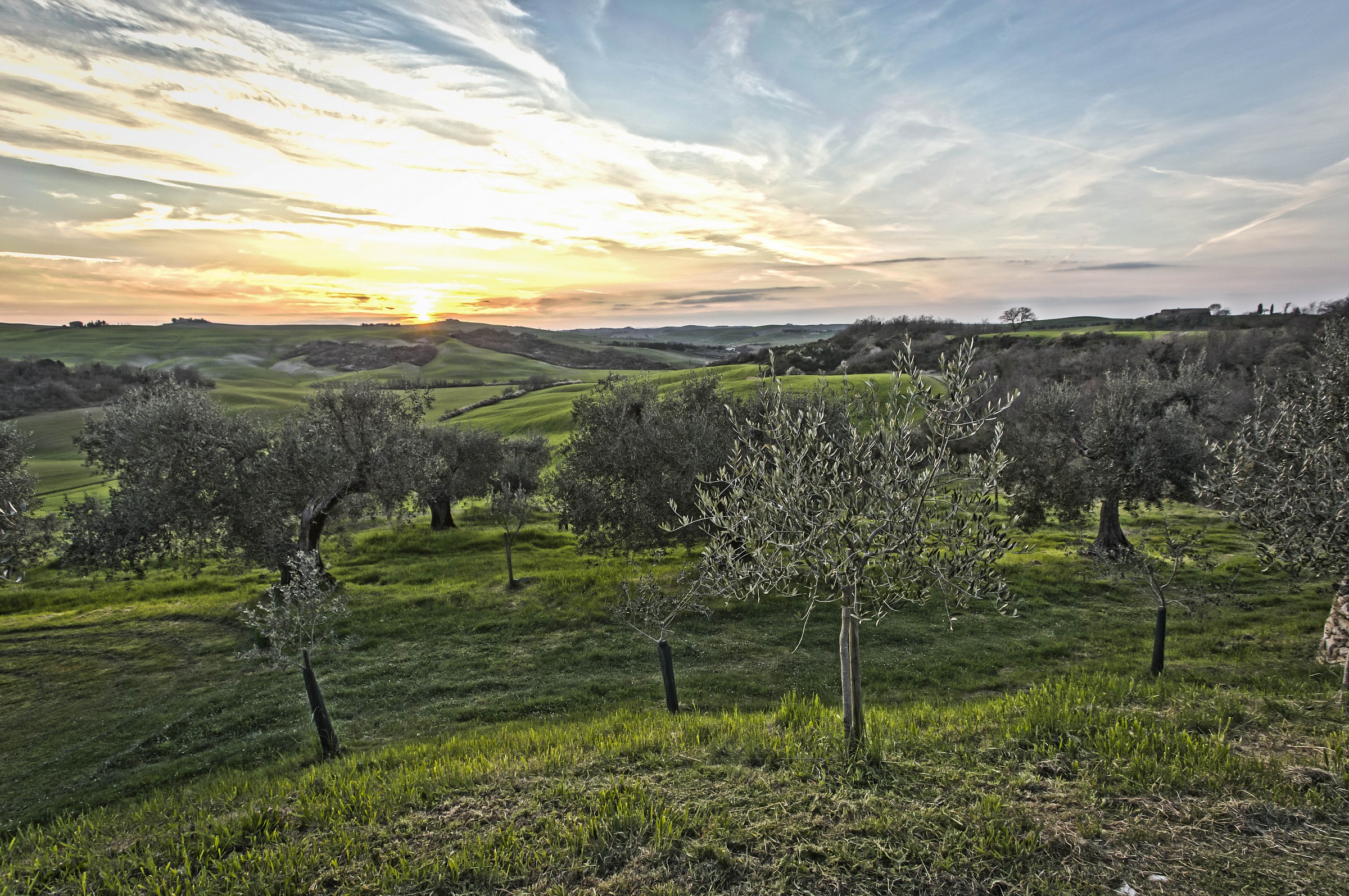Sunset in Val d'Orcia