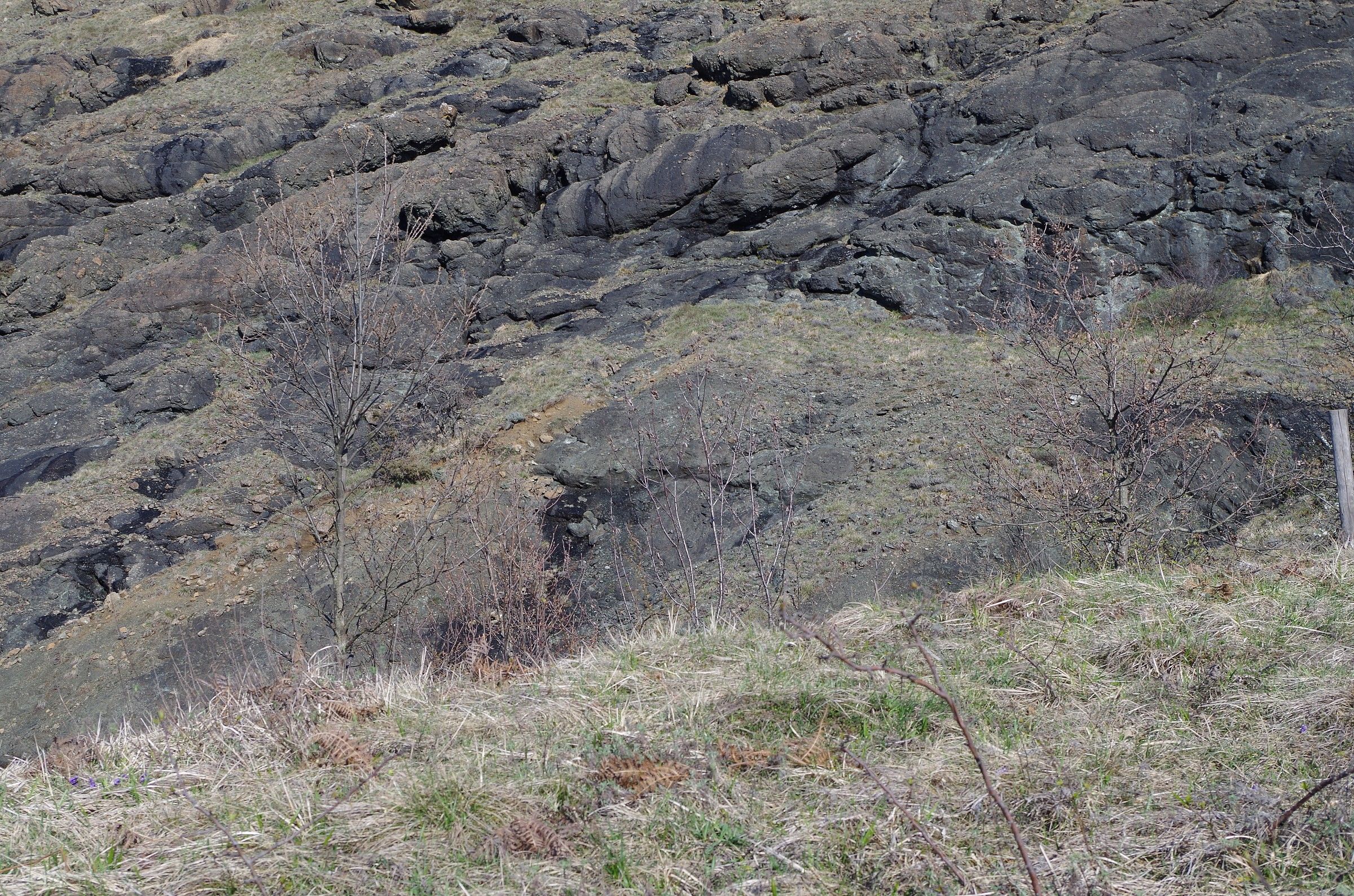 Riserva Naturale Monte Prinzera