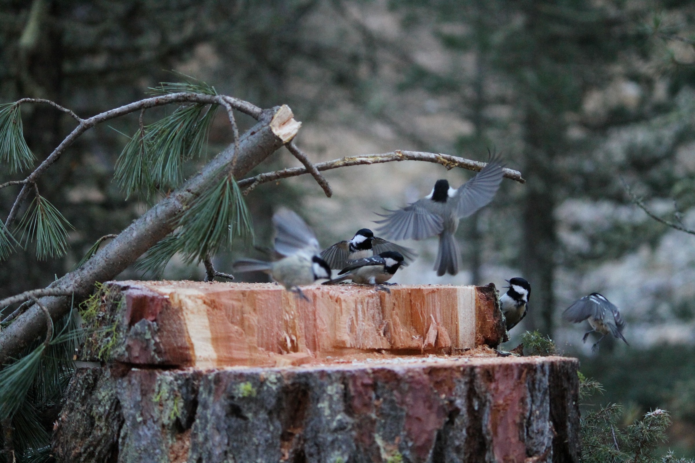 riunione di condominio 2