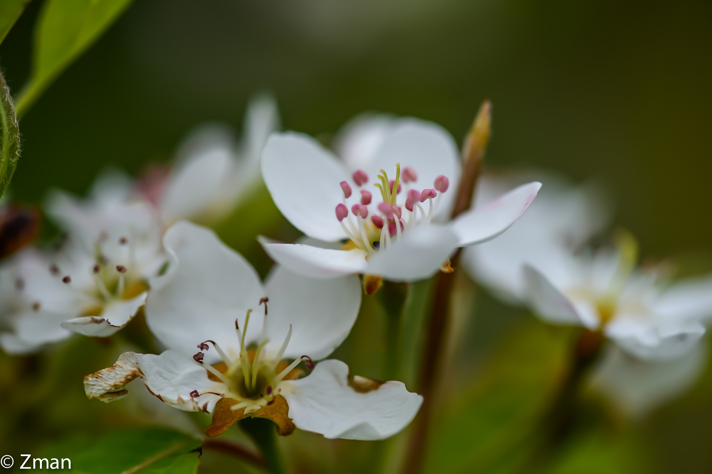 Only the Young Stands up