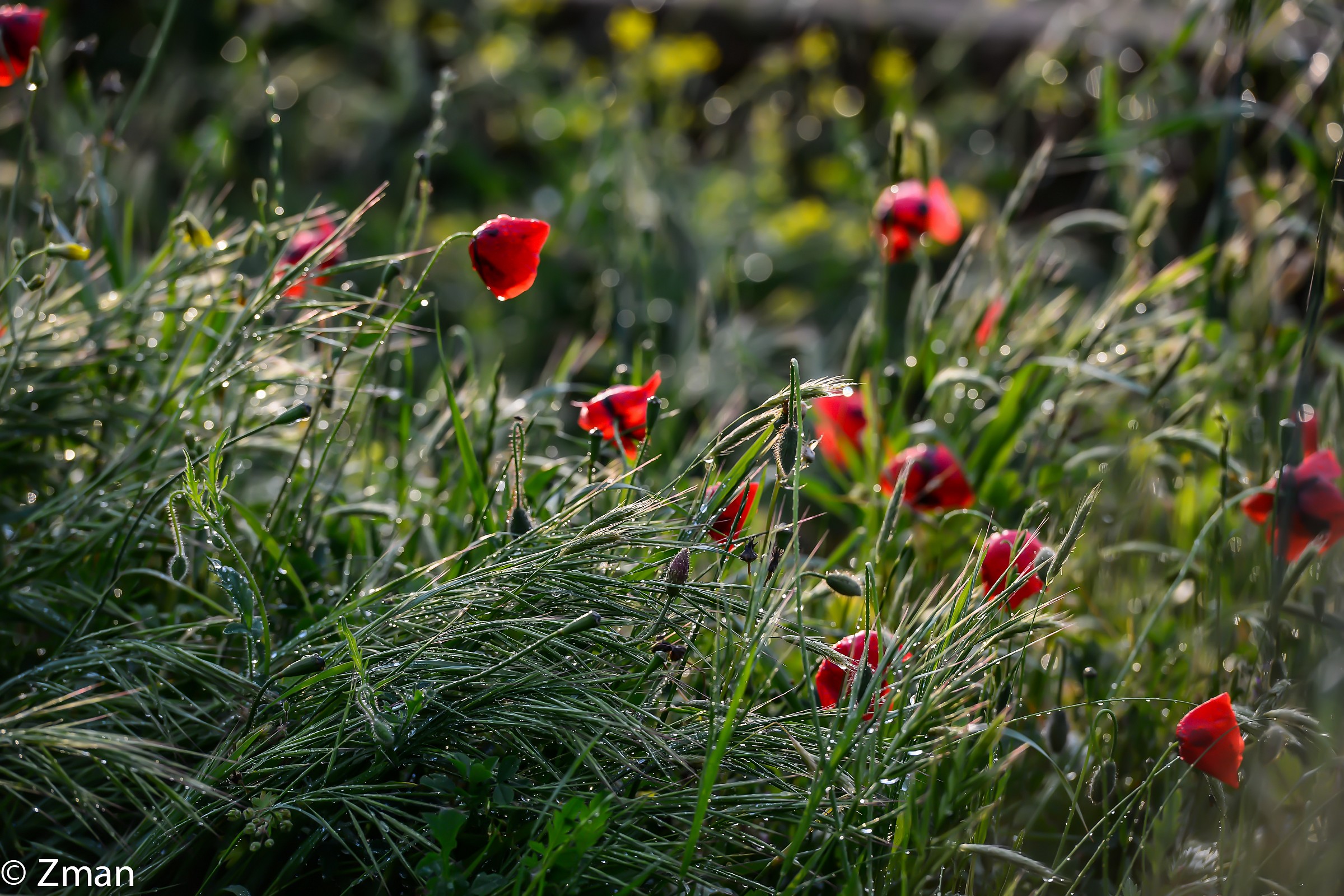 The Rain has Stopped