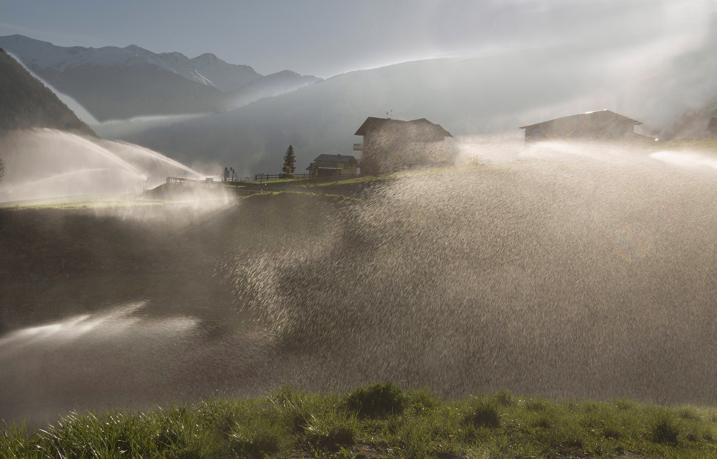 Warning ... irrigation!