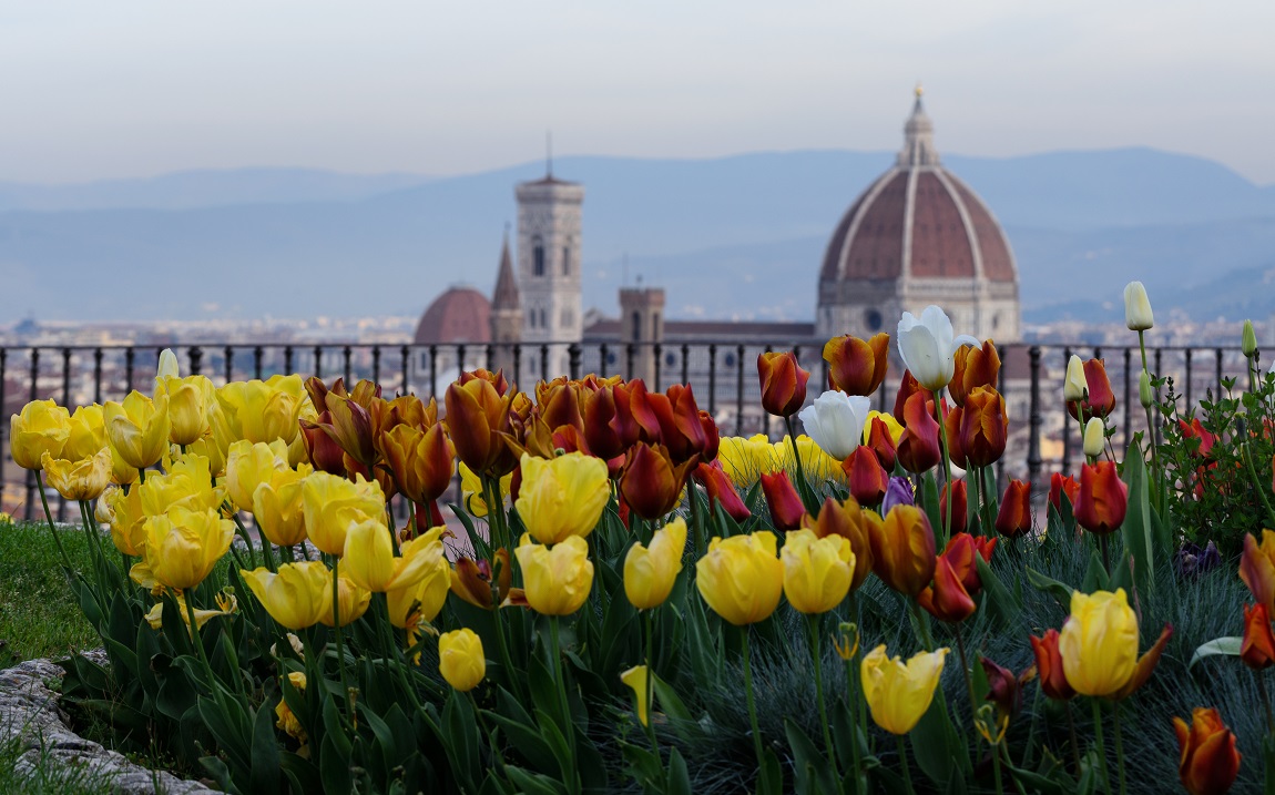 Tulipani da Piazzale Michelangelo
