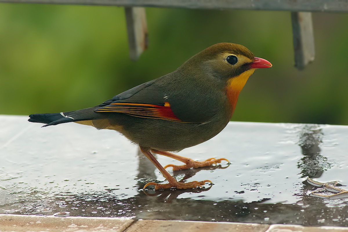 ... Arrived ... !!!!