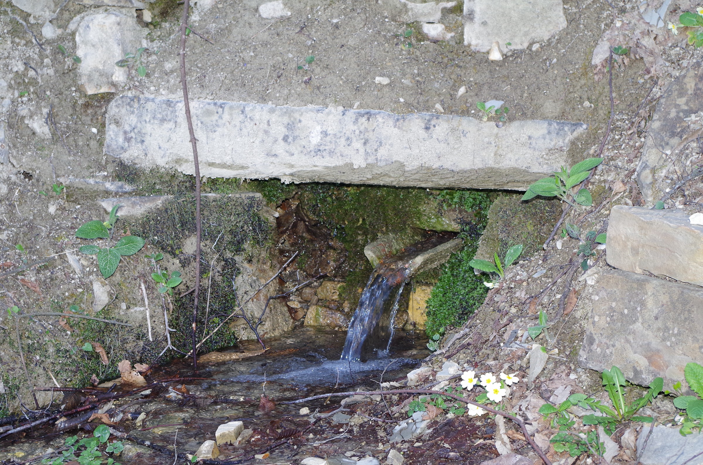 Un'altra rinfrescante sorgente a Corniana