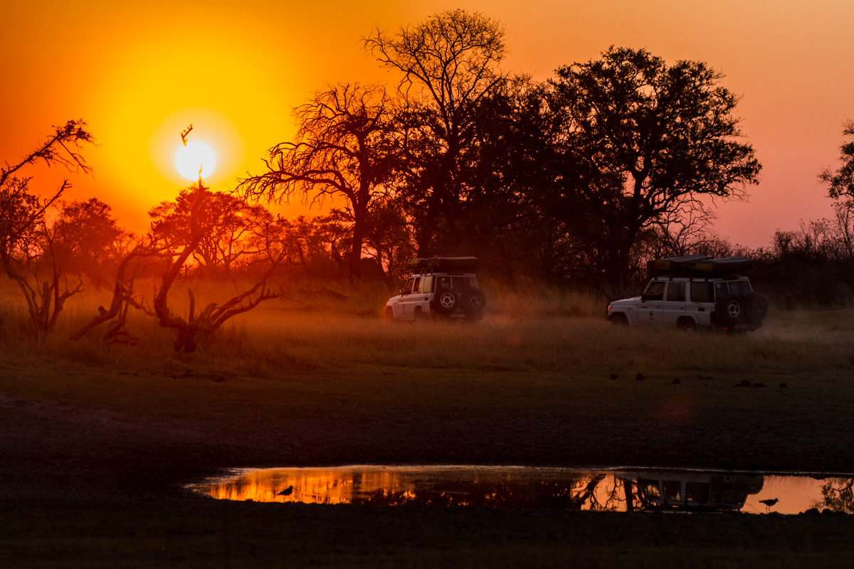 Safari: behind the scenes.