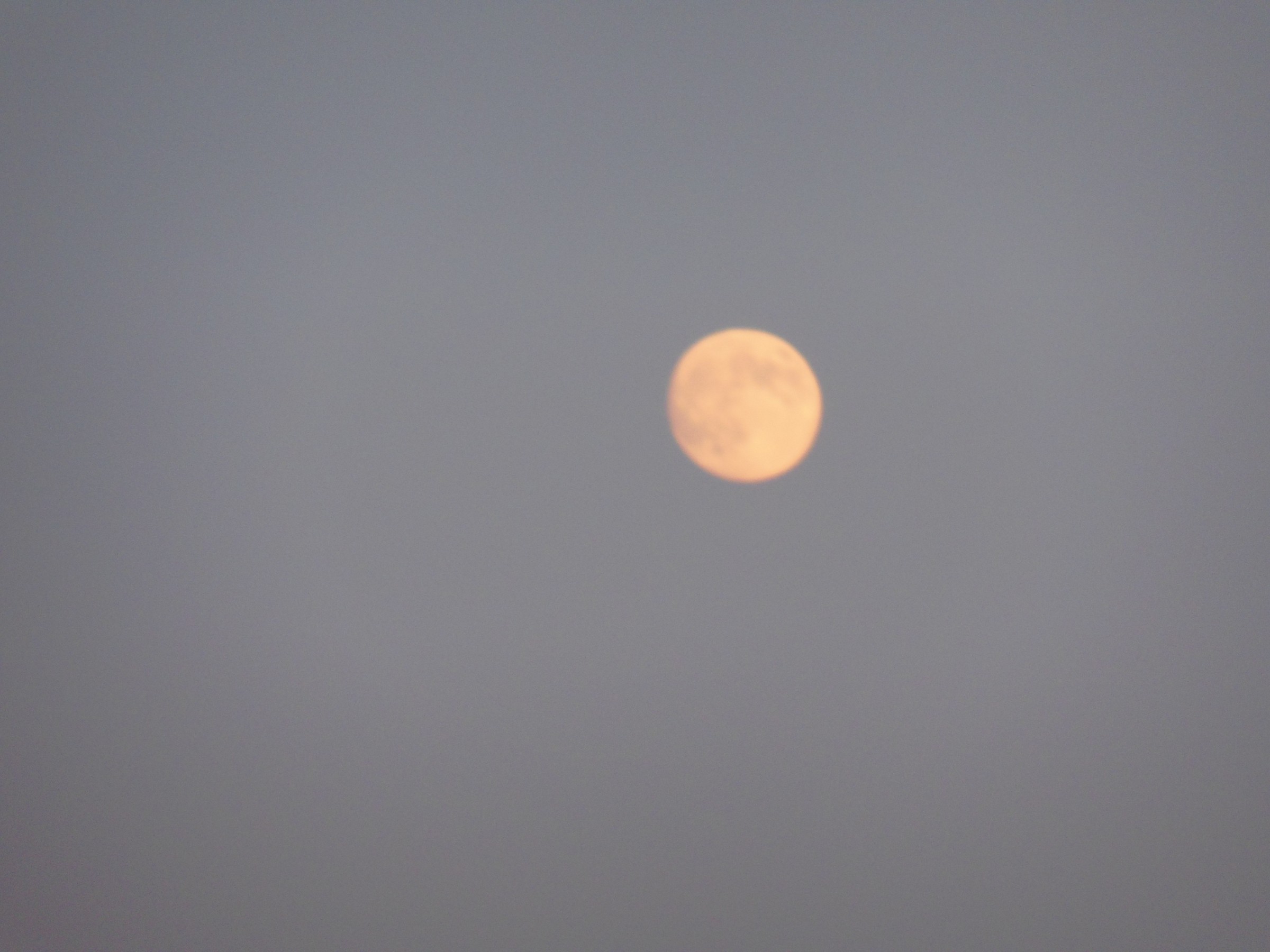 Buonanotte: domani è un altro giorno si vedrà ...