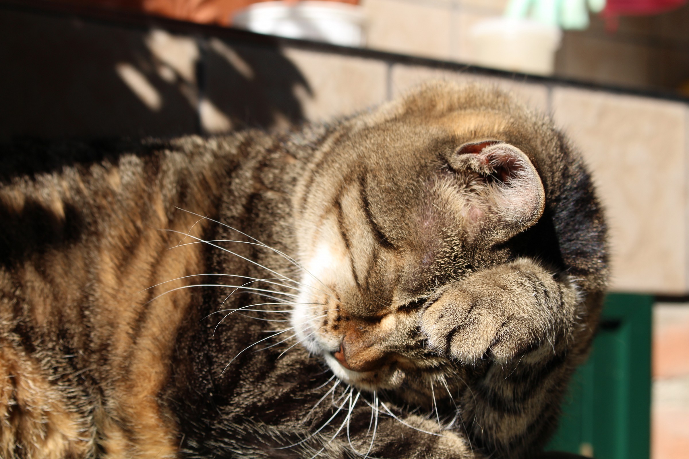 Mamma mia come sto!!!