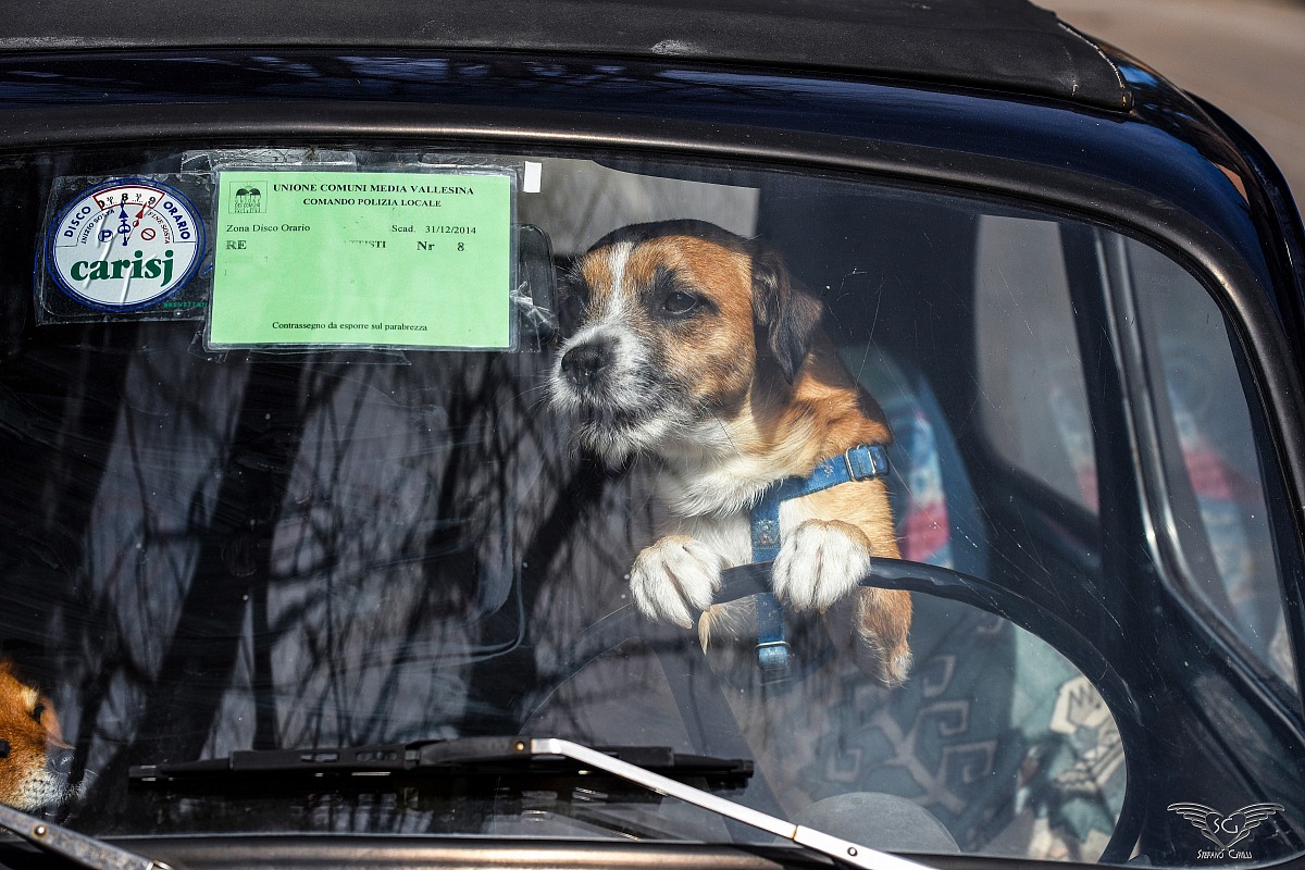 A look in the rearview mirror ... and go !!