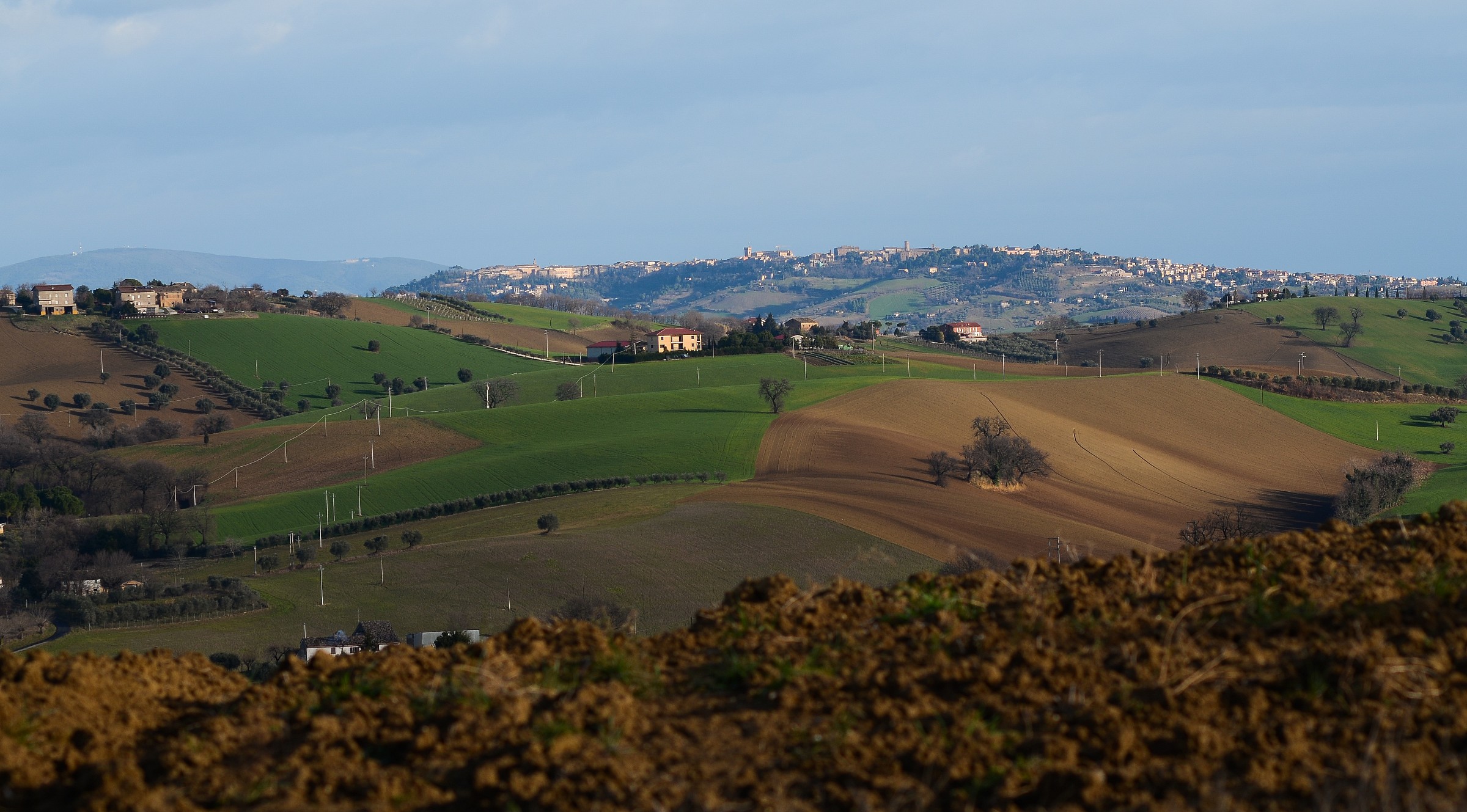 the Marche countryside