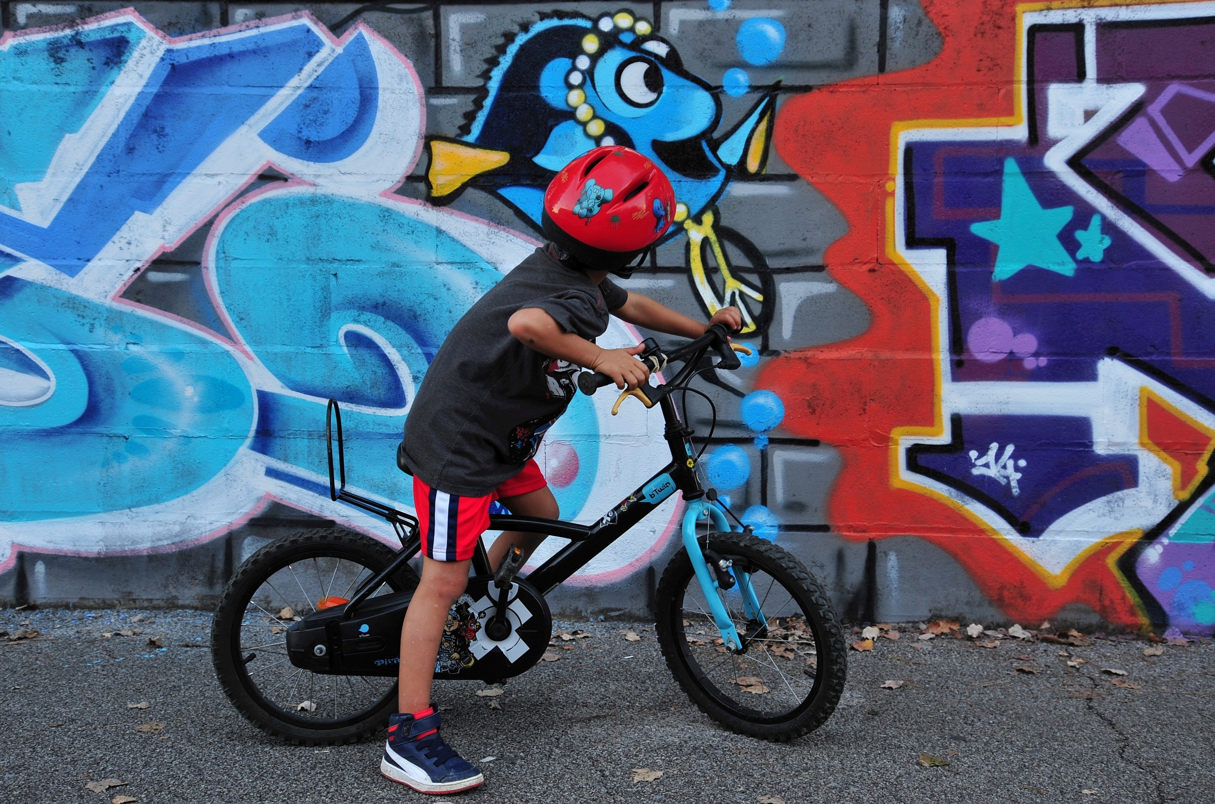 IL pesce fuor d'acqua