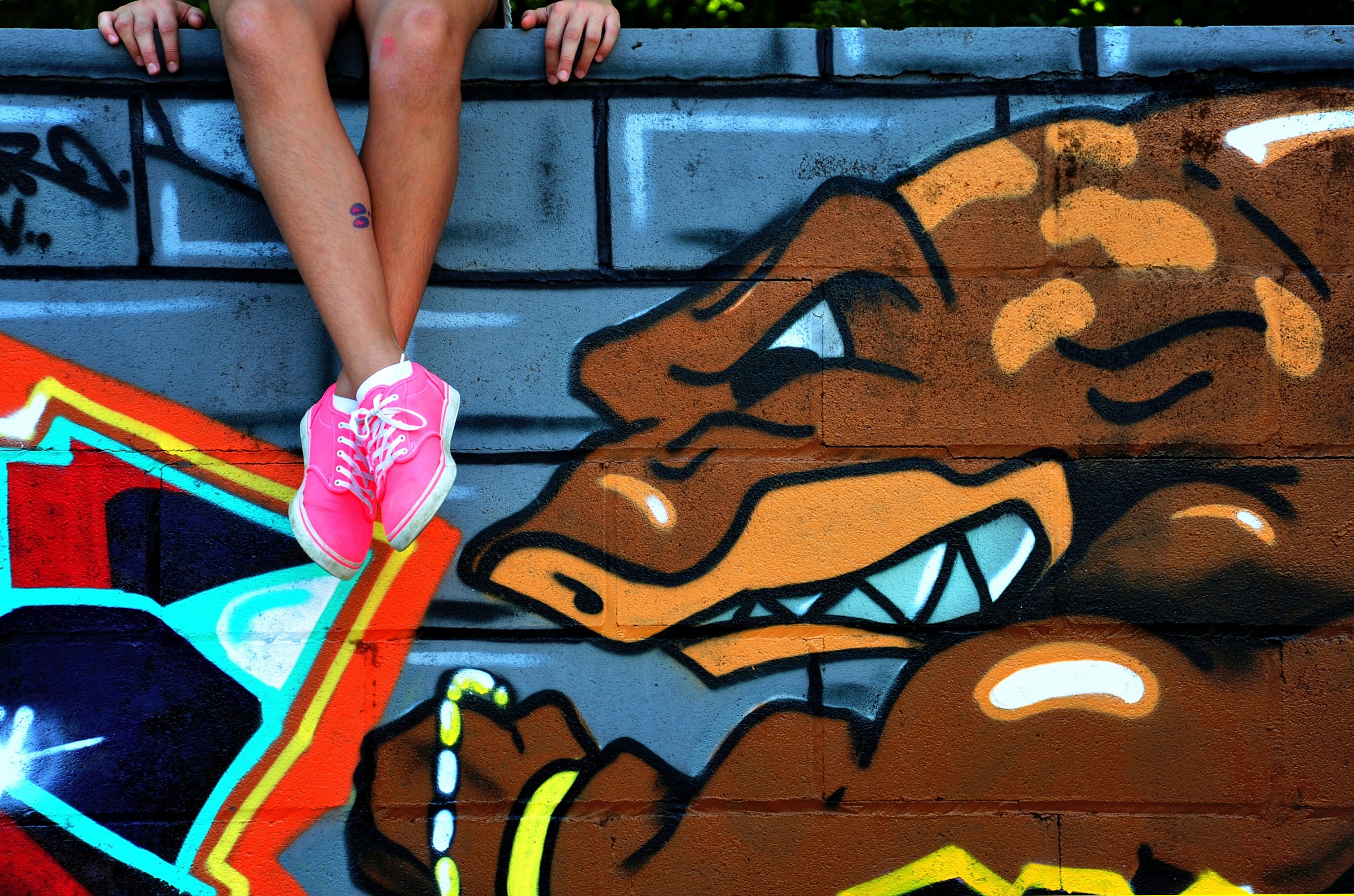 The beautiful and the beast