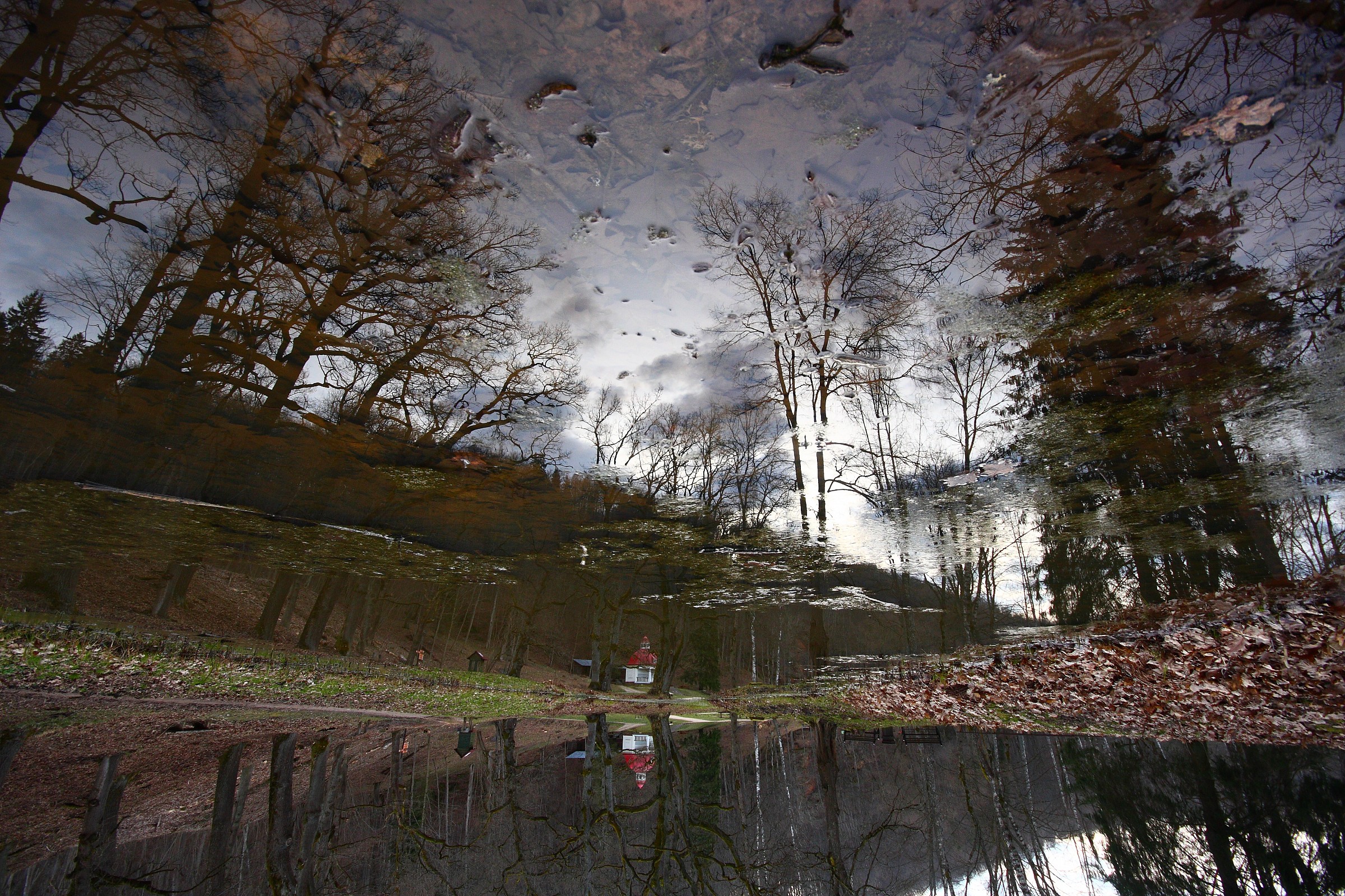 Nature in the mirror