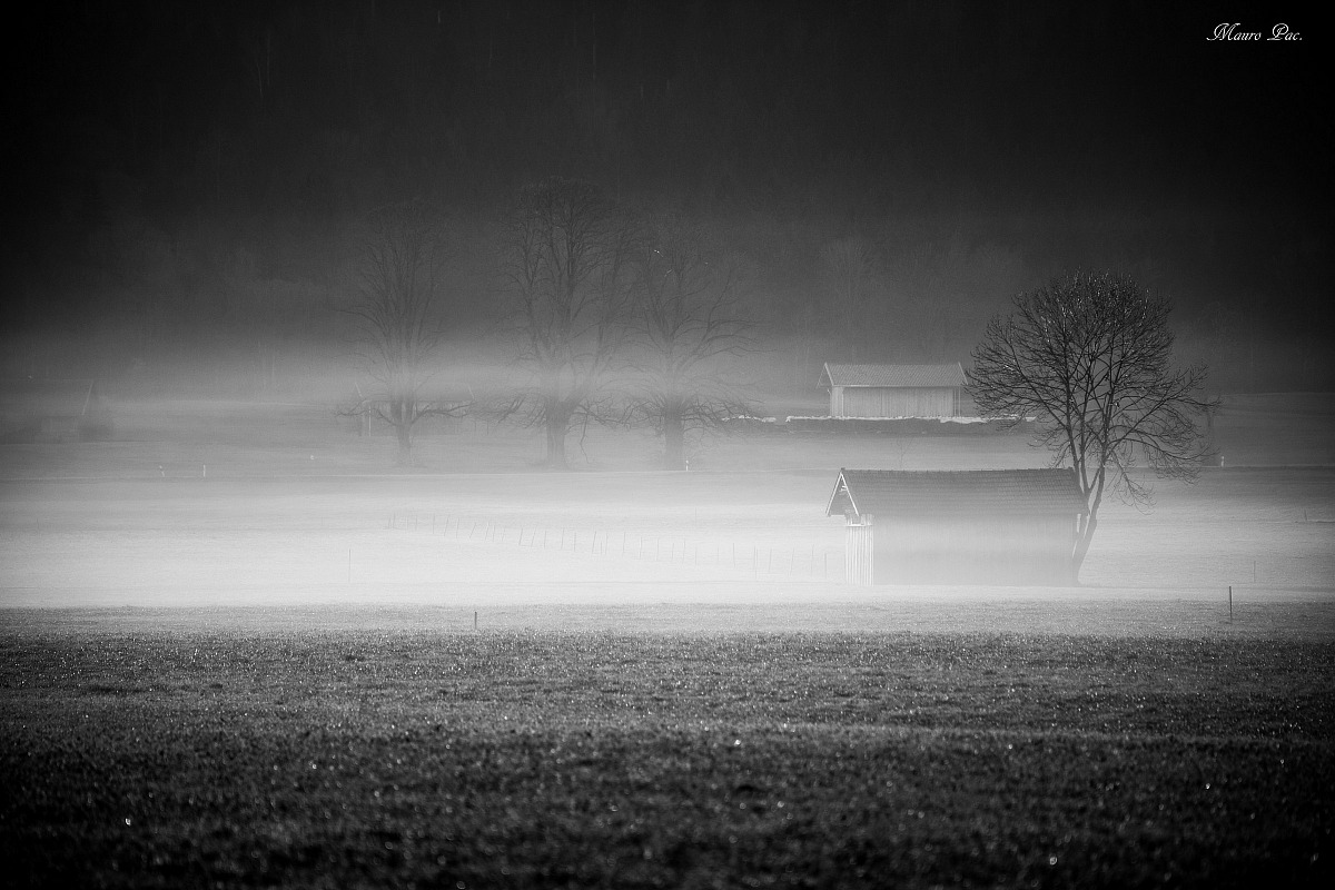 Fog on a warm morning