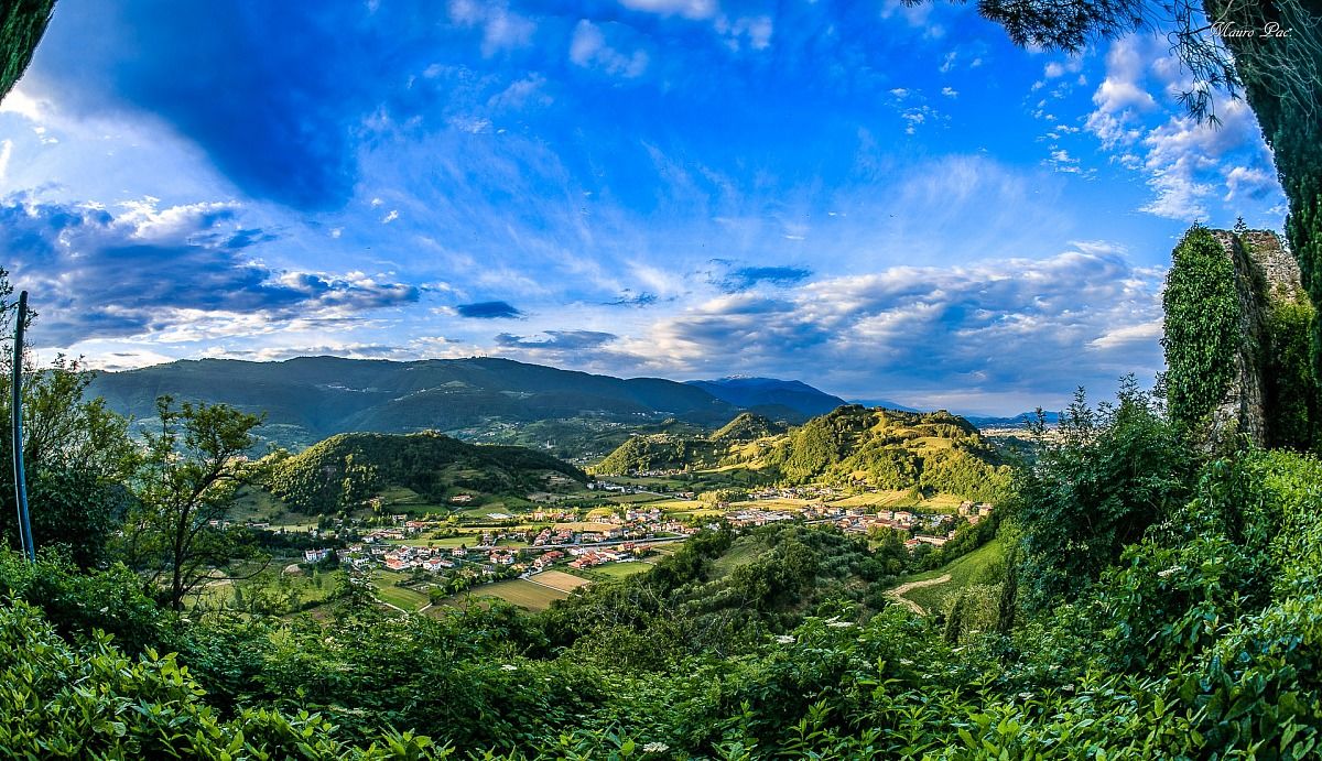 The intense colors of spring