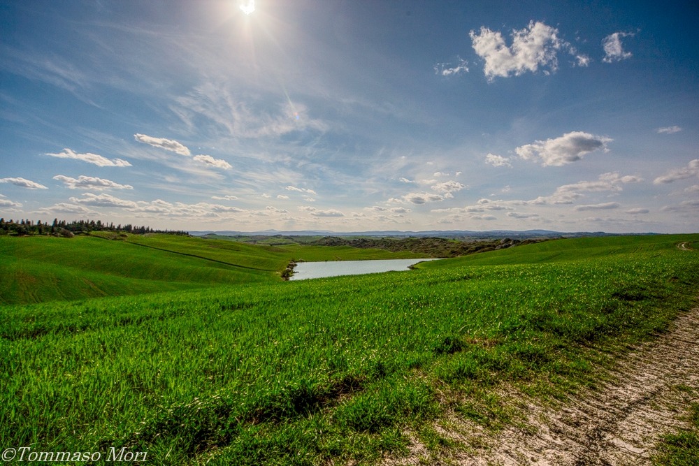 Crete Senesi-Leonia.