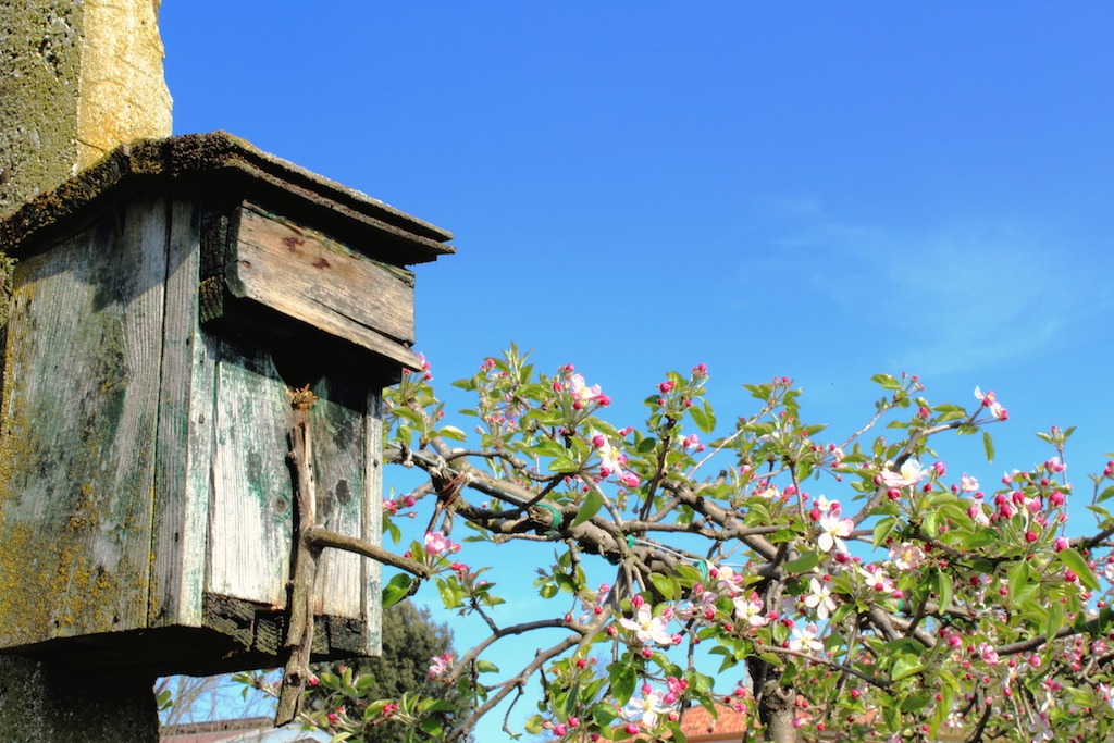 Little house on the pole