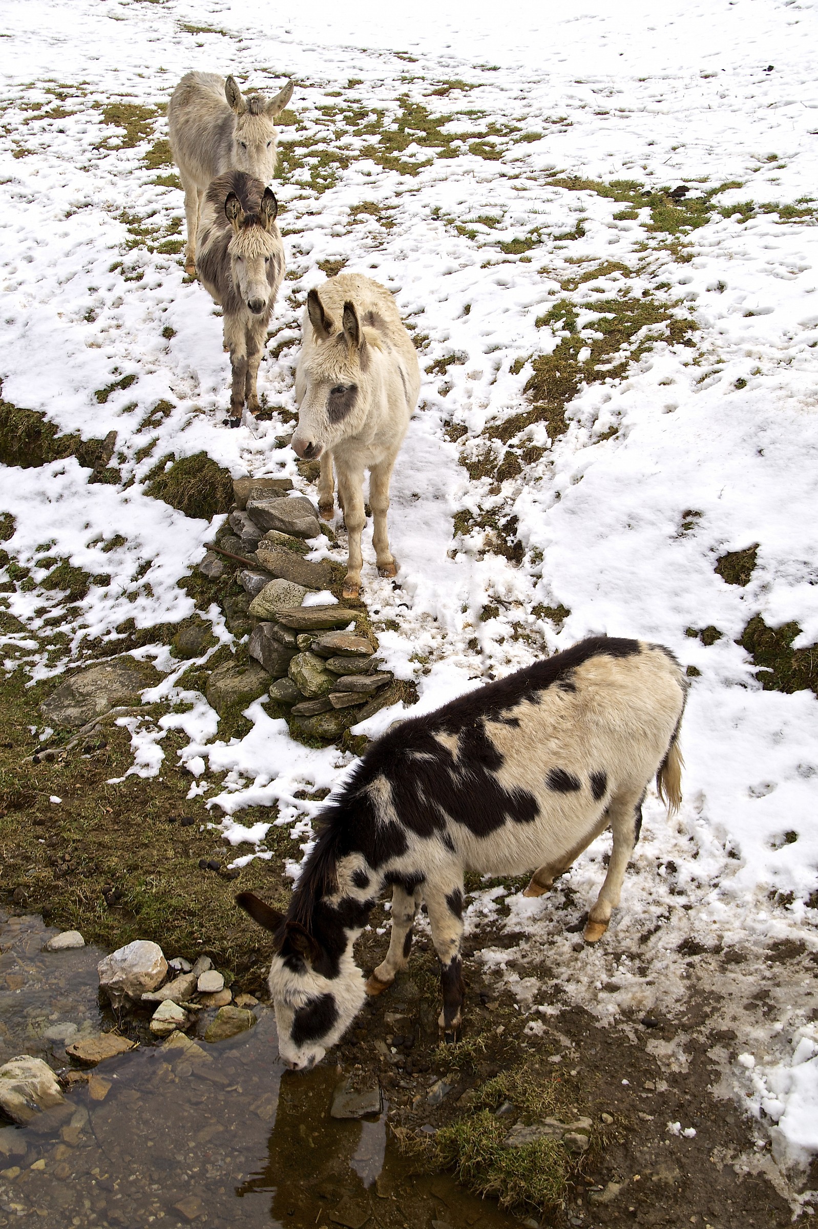 They respect the row ...