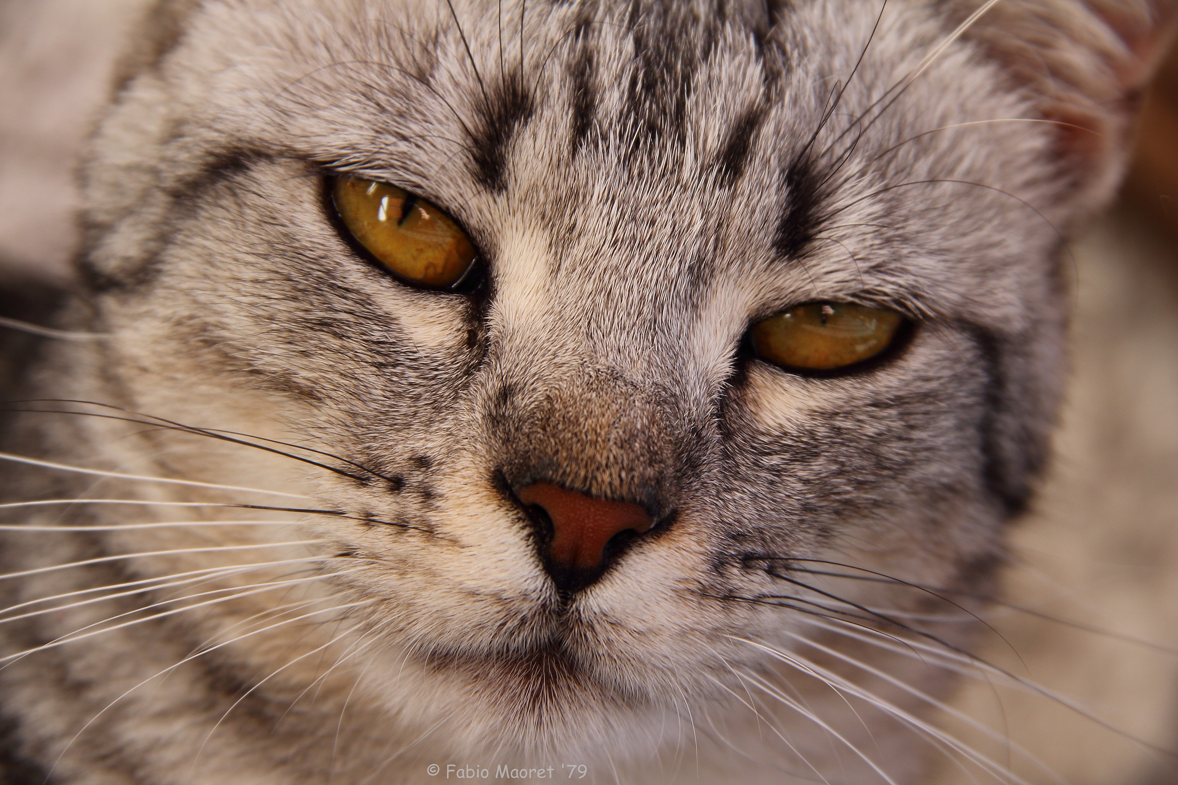 What Do You Want !!!!!