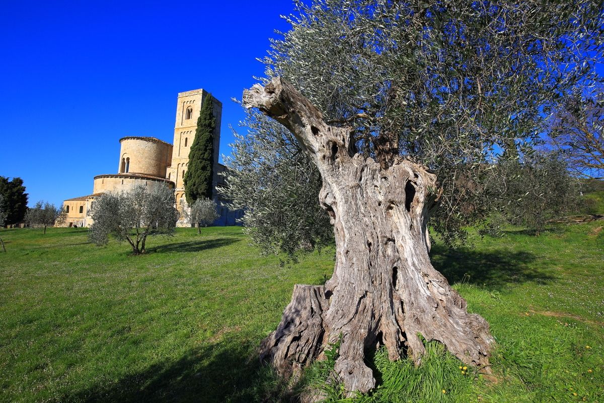 abbazia di S. Antimo