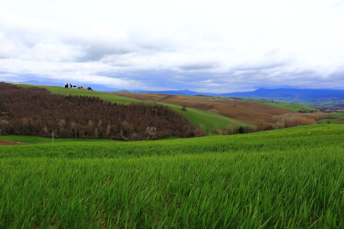 panorami della val d'Orcia