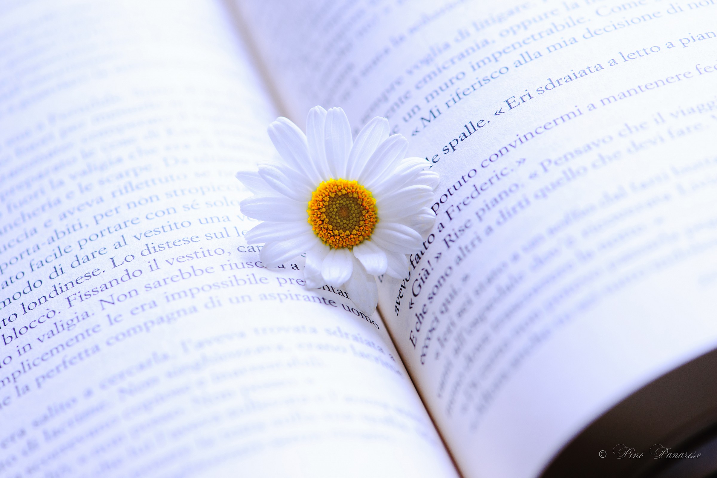 Sto pensando a te...