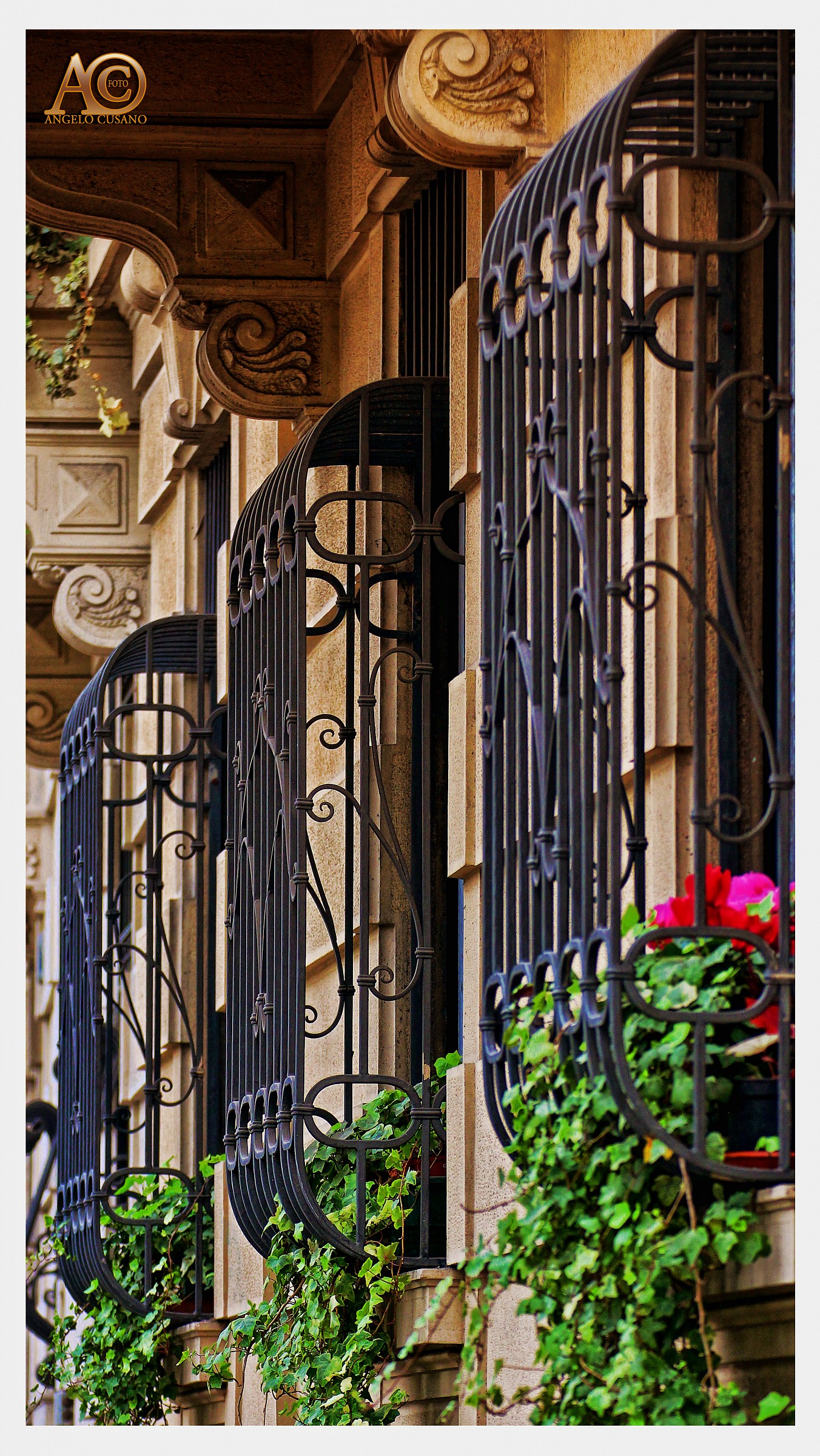 piante che tentano l'evasione