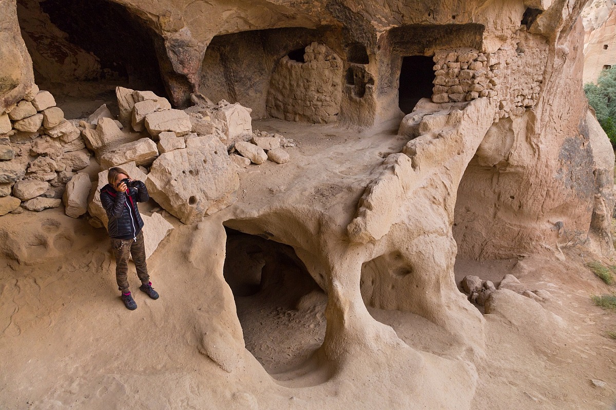 Organic architectures