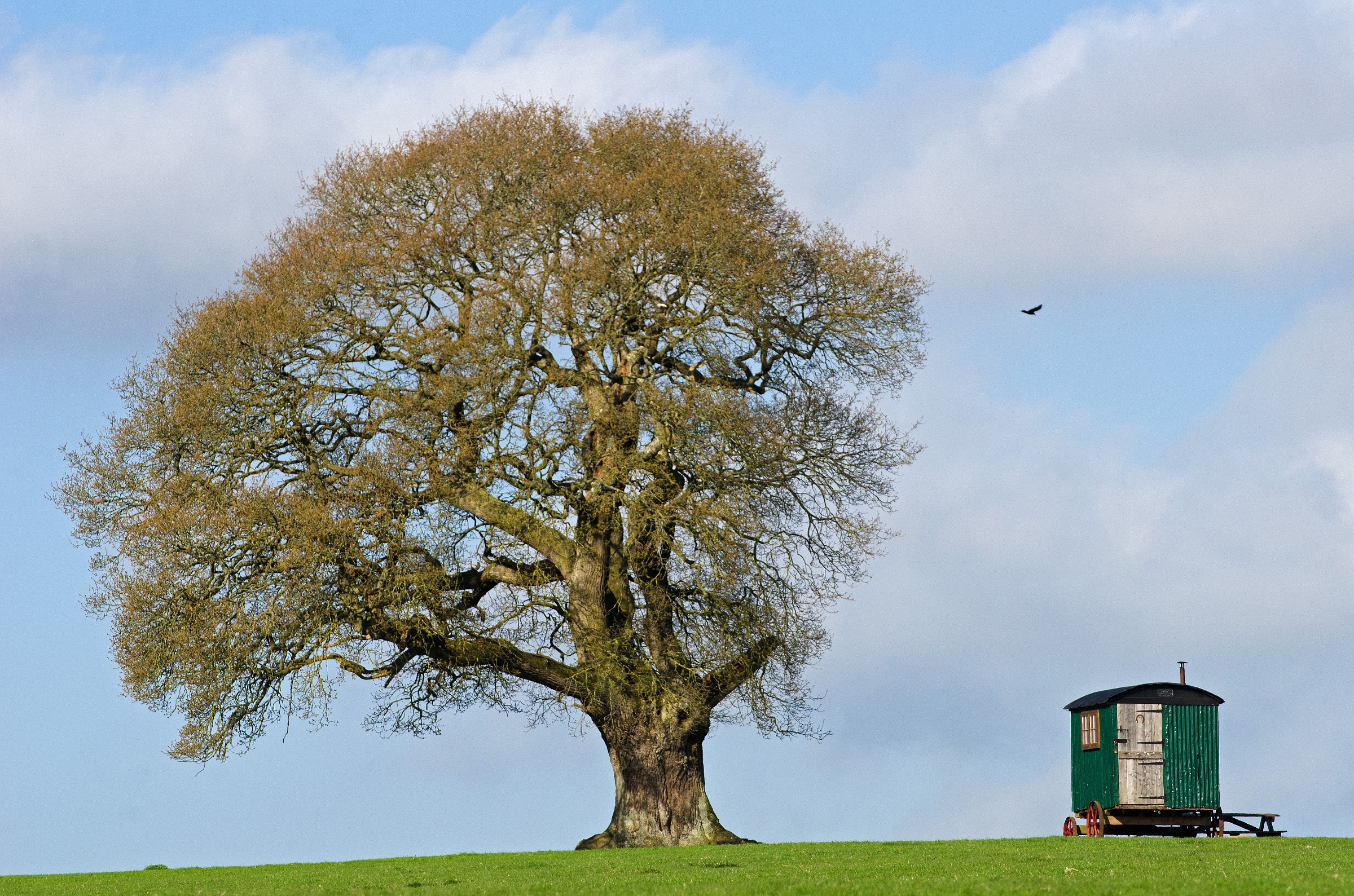 Sulla cima della collina